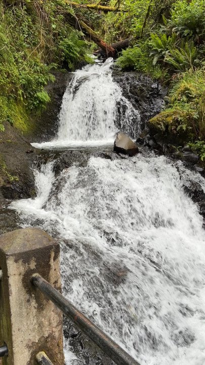 Shepperd's Dell - At the base - Parks Near Me - Corbett, Oregon