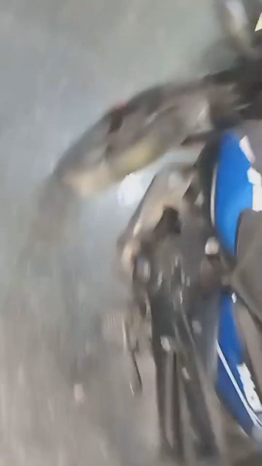 Walk-around video thumbnail