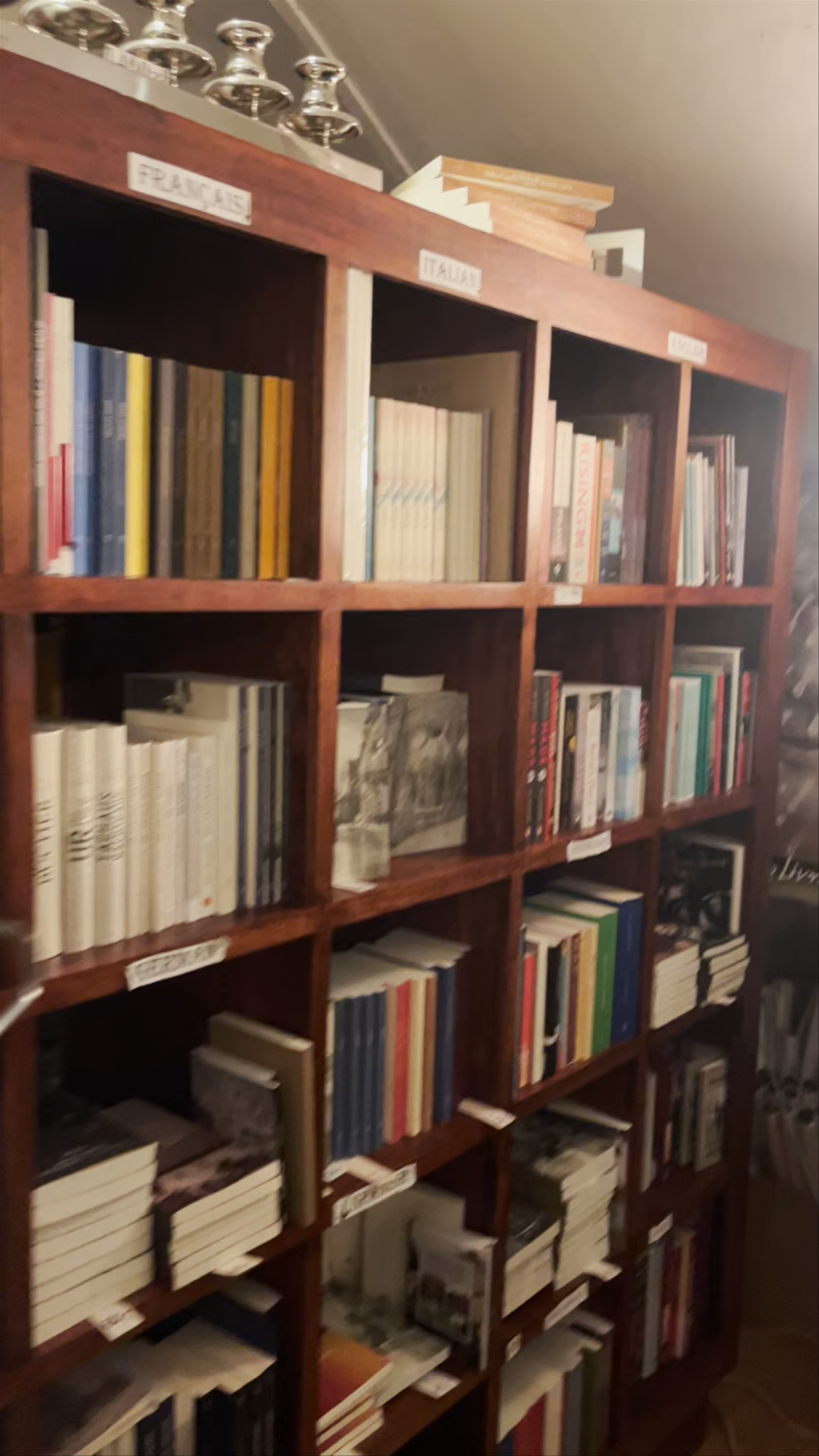 Popper Synagogue Bookshop Tour: A Hidden Literary Gem in Kraków