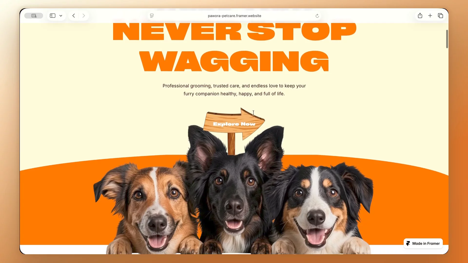 Full scroll-through of Pawora a veterinary and pet care template.10 pages: services, meet-the-team for veterinarians, care plans, appointment-request form with map. Figma source file included.Most pet care sites play it safe. This one went bold instead.