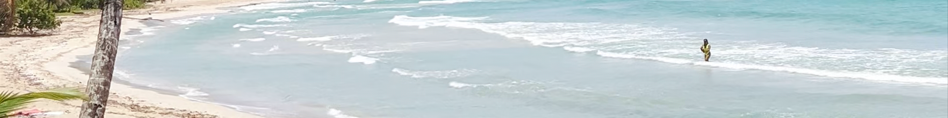 Tours & experiences in Bocas del Toro