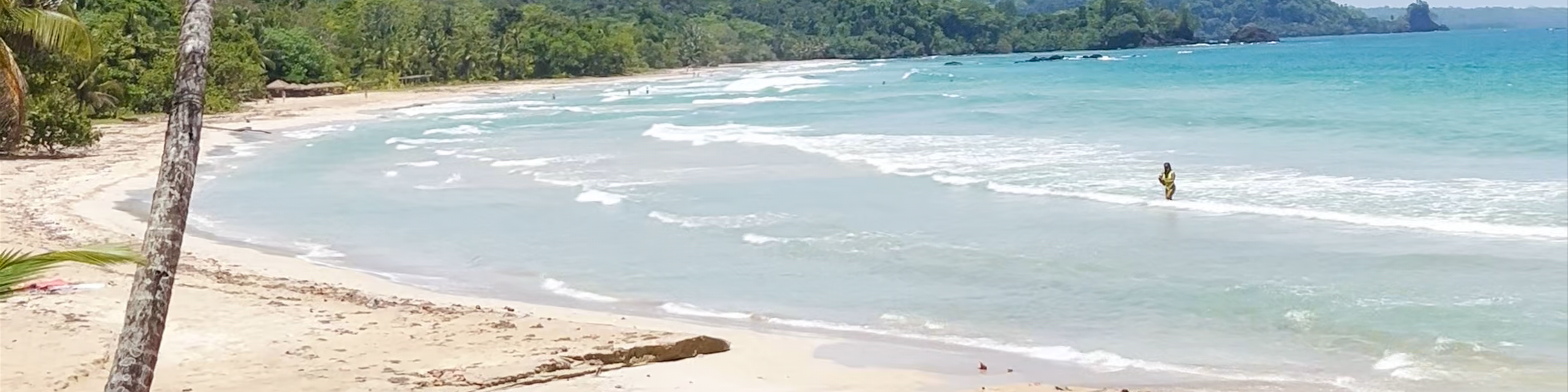 Bocas del Toro