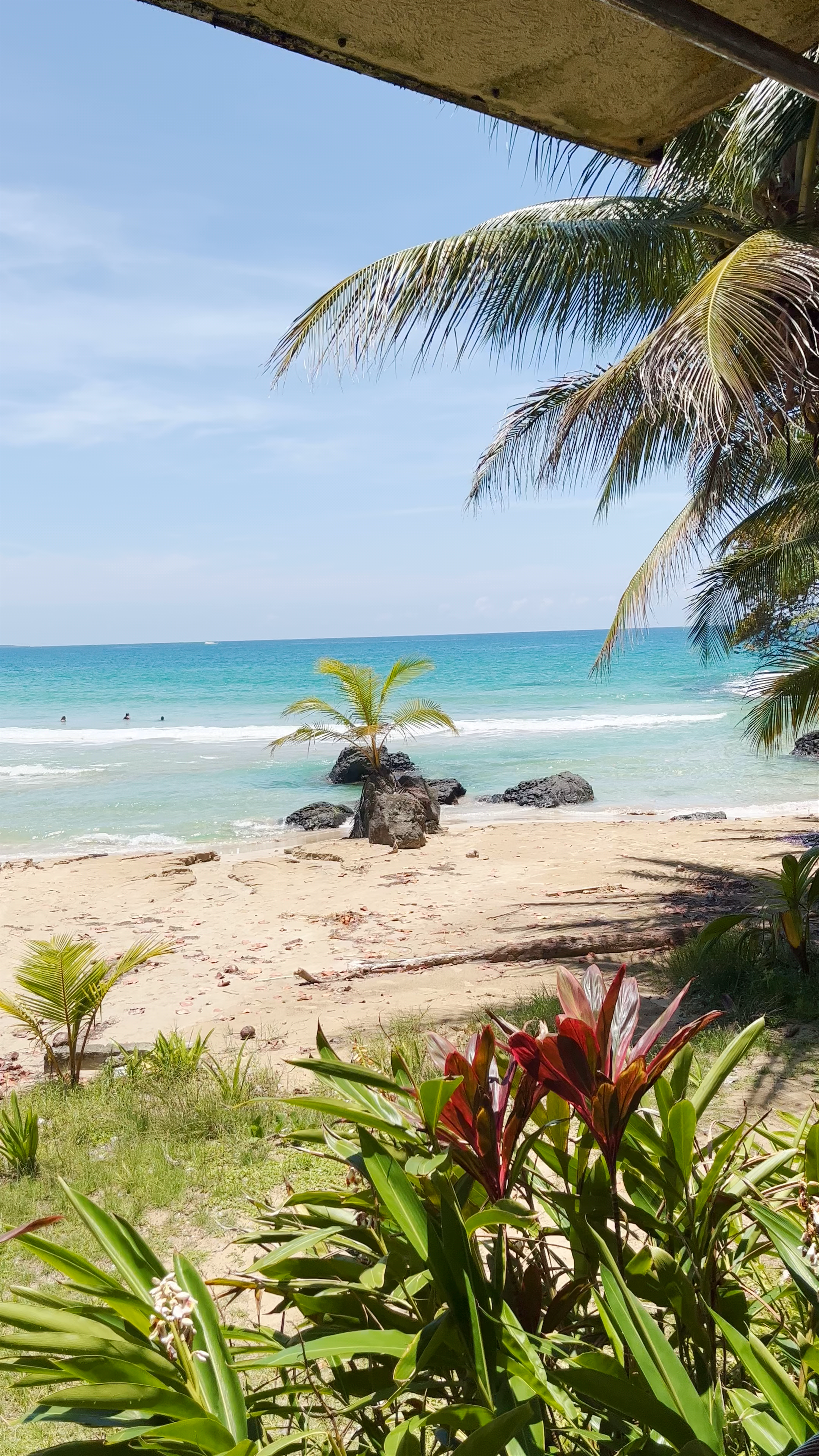 Red Frog Beach Island Resort: Tropical Paradise in Bocas del Toro, Panama