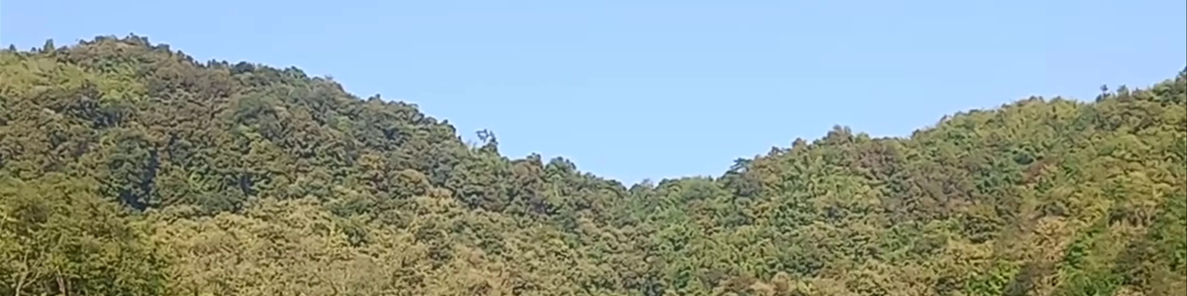 Mae Sa Nga Reservoir