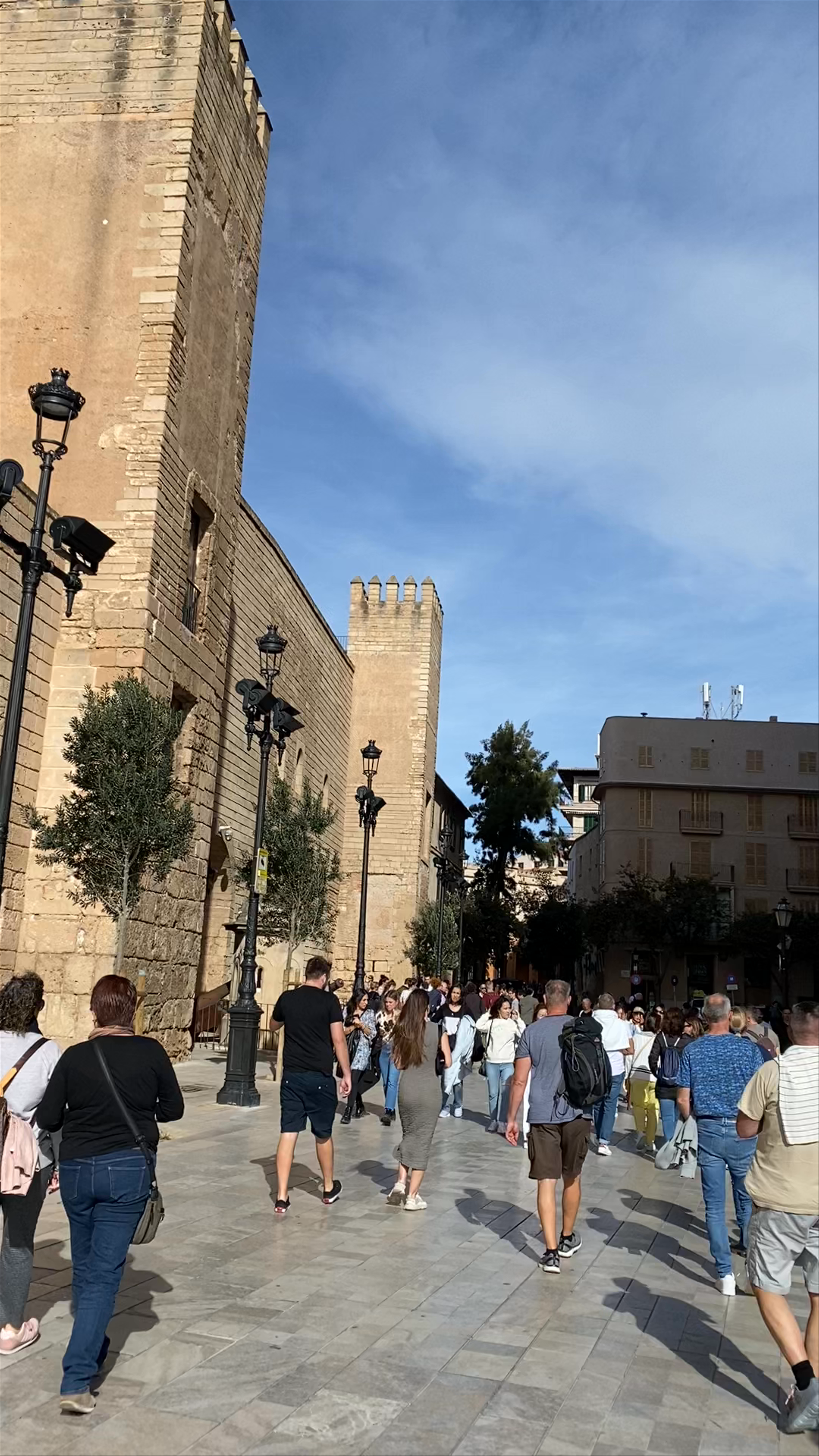 Catedral-Basílica de Santa María de Mallorca: Majestic Gothic Wonder in Palma