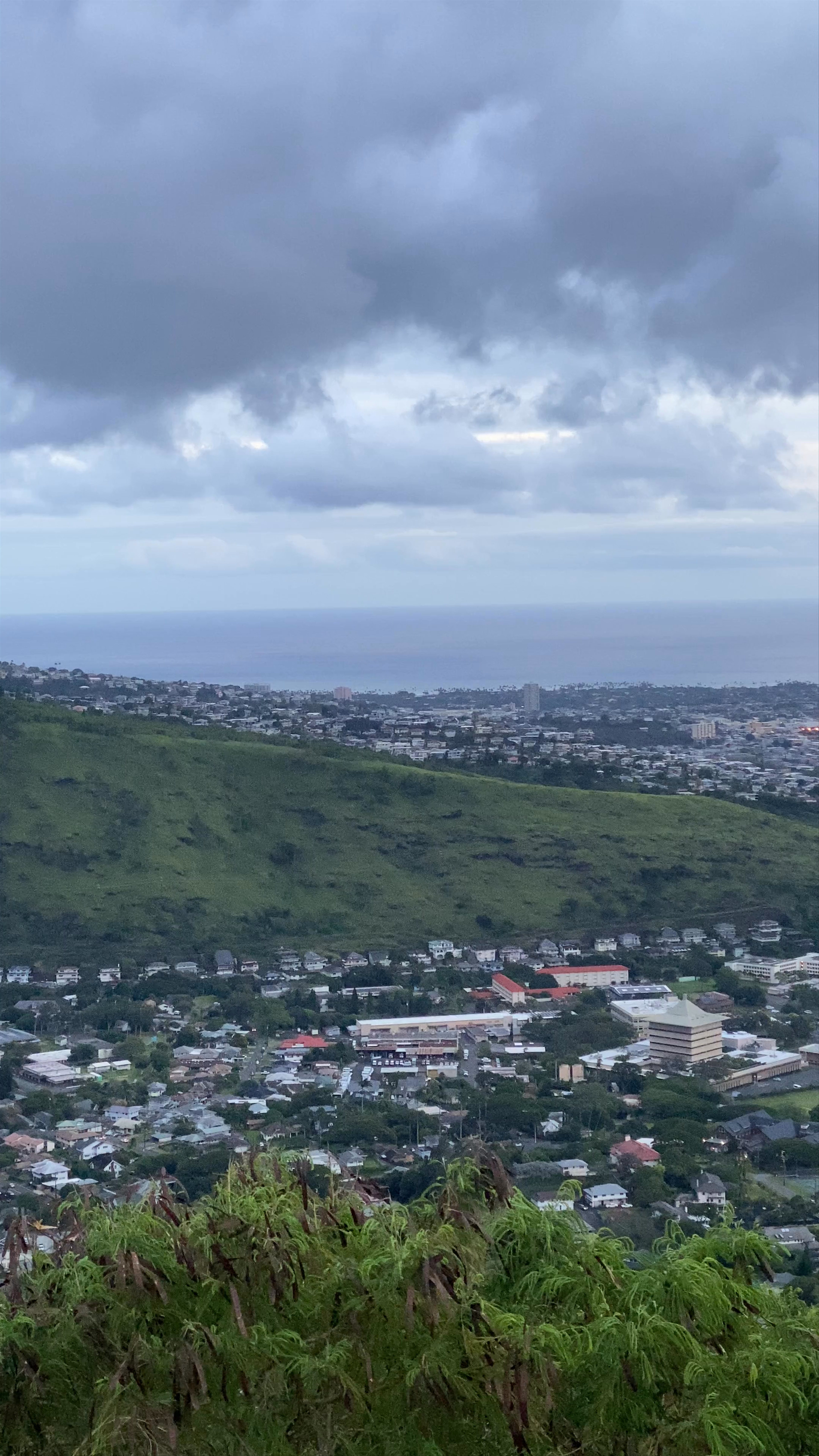Tantalus Lookout at Puu Ualakaa State Park: Scenic Views of Honolulu and Diamond Head