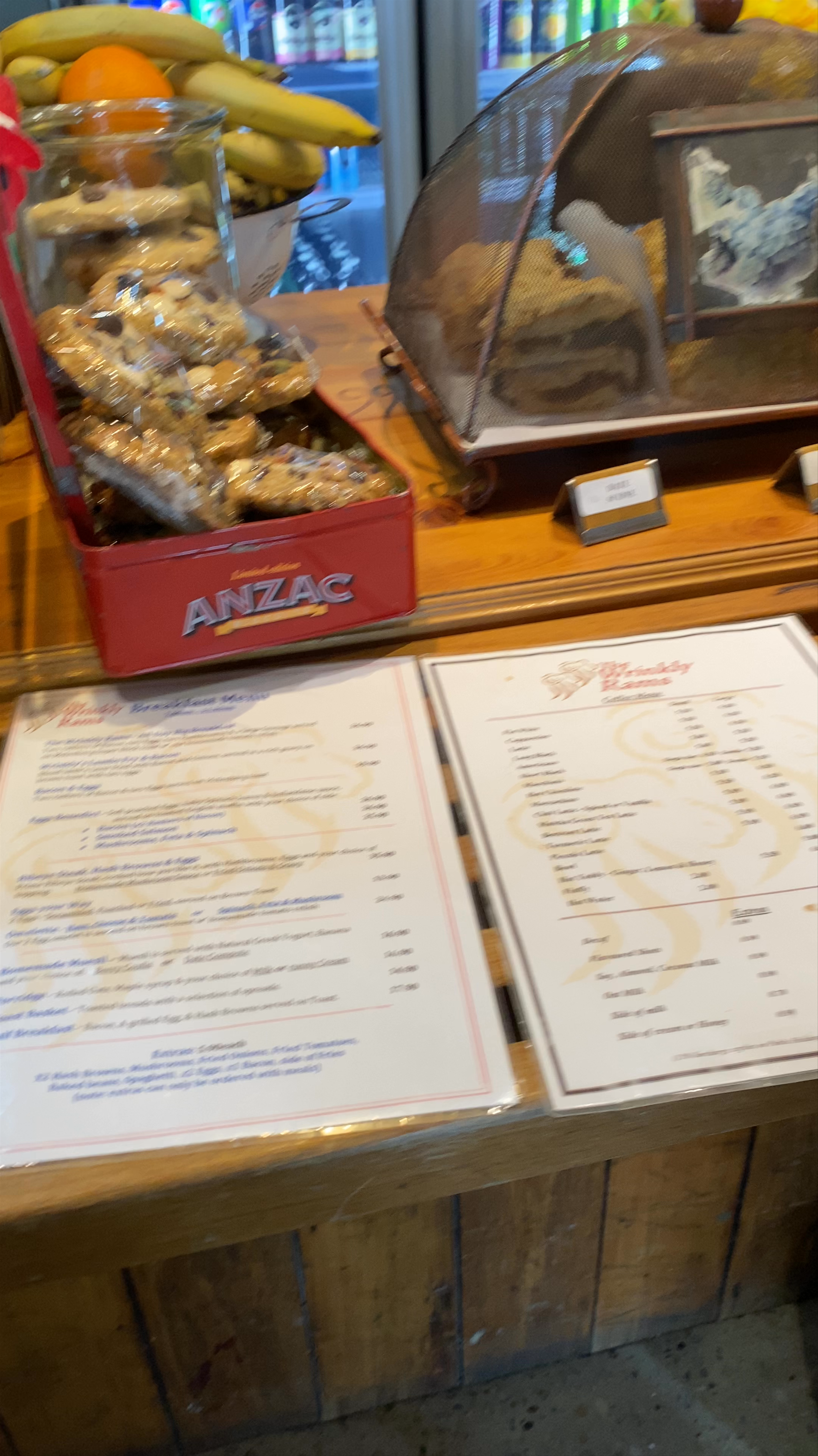 The Wrinkly Rams Omarama Avenue