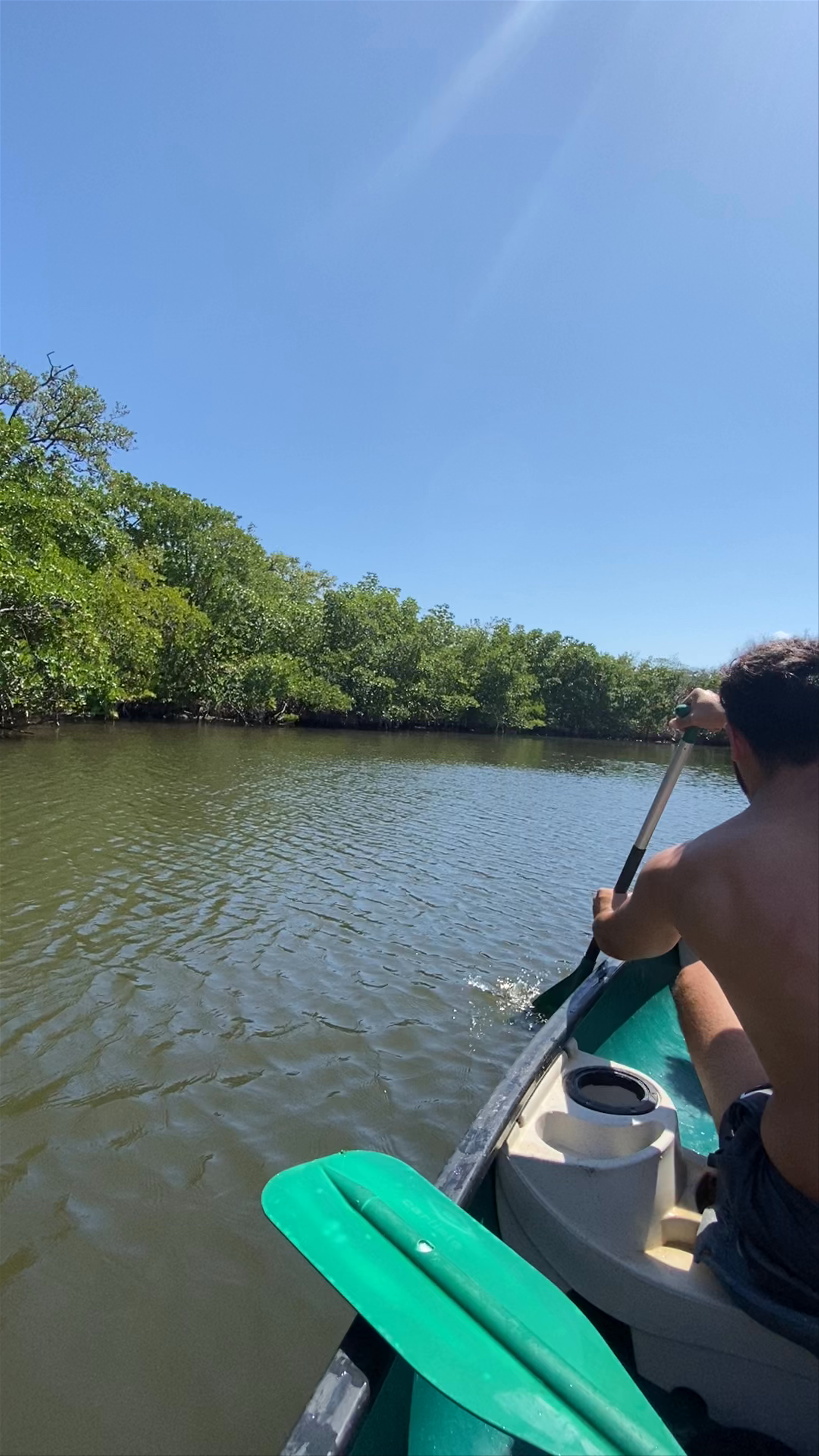 Dr. Von D. Mizell-Eula Johnson State Park