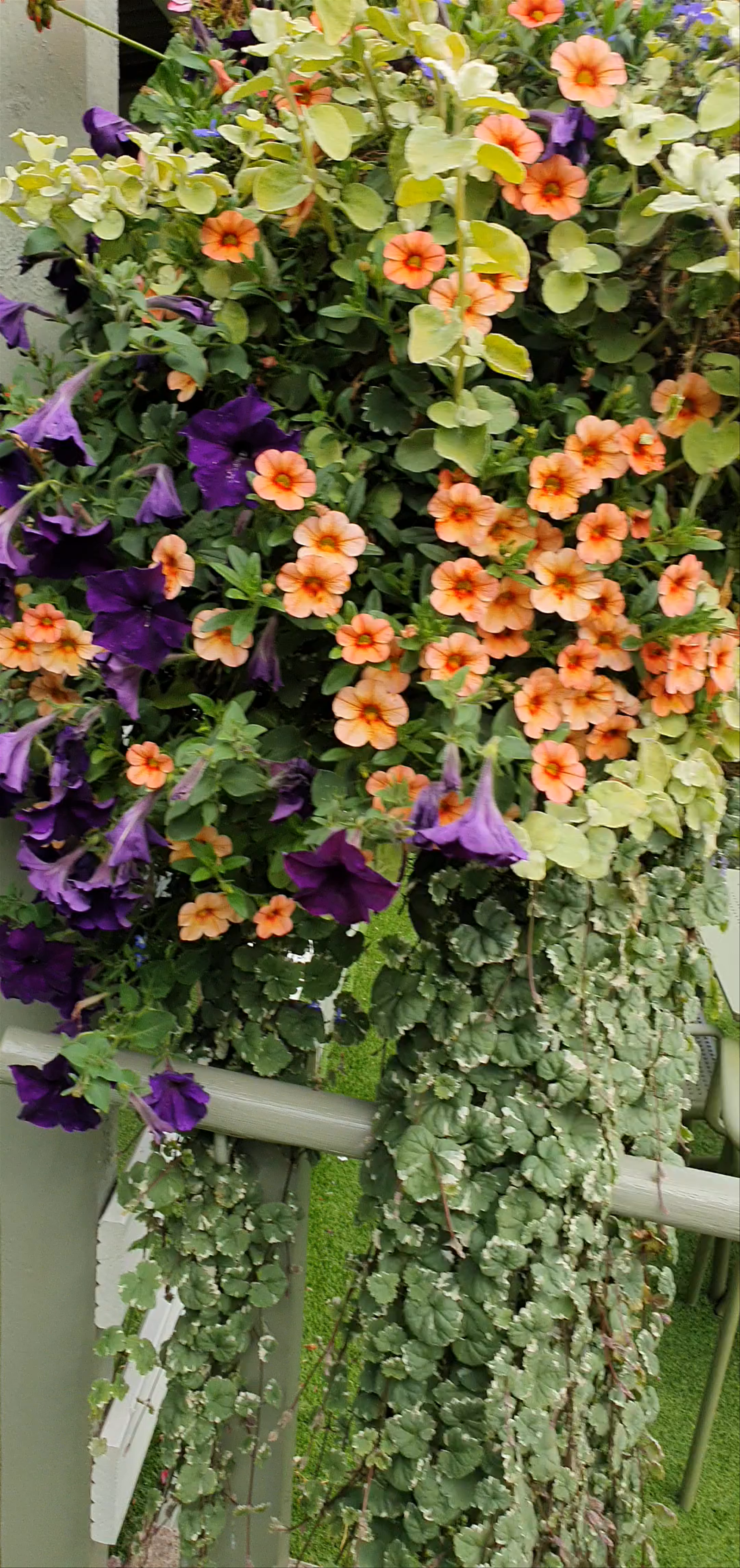 Brambles Coffee Shop