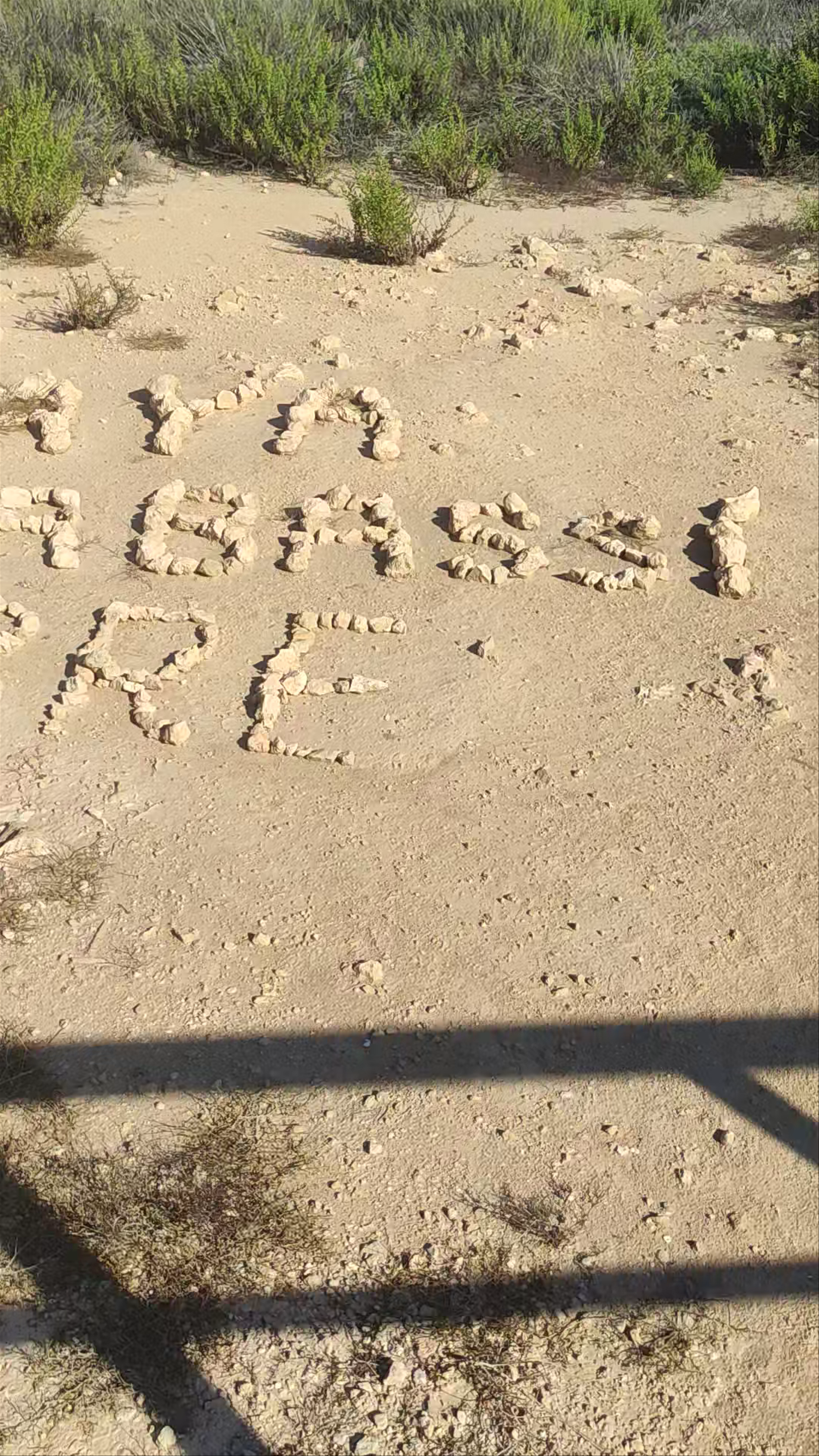 Playa naturista del Carabassí