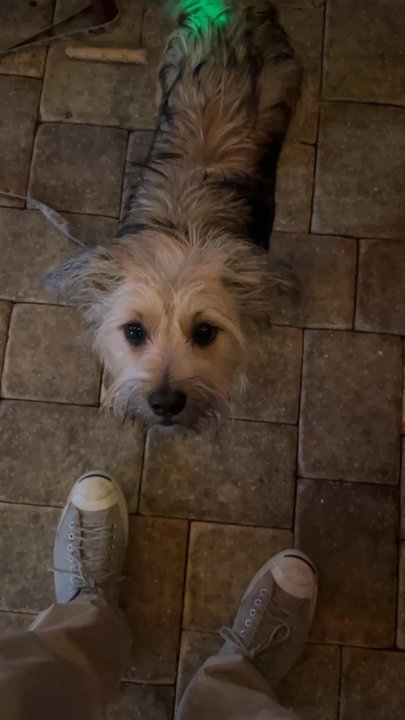 Rusty's Raw Bar and Grill - Naples - Pet friendly just wear a leash. - Bars Near Me - Naples, Florida
