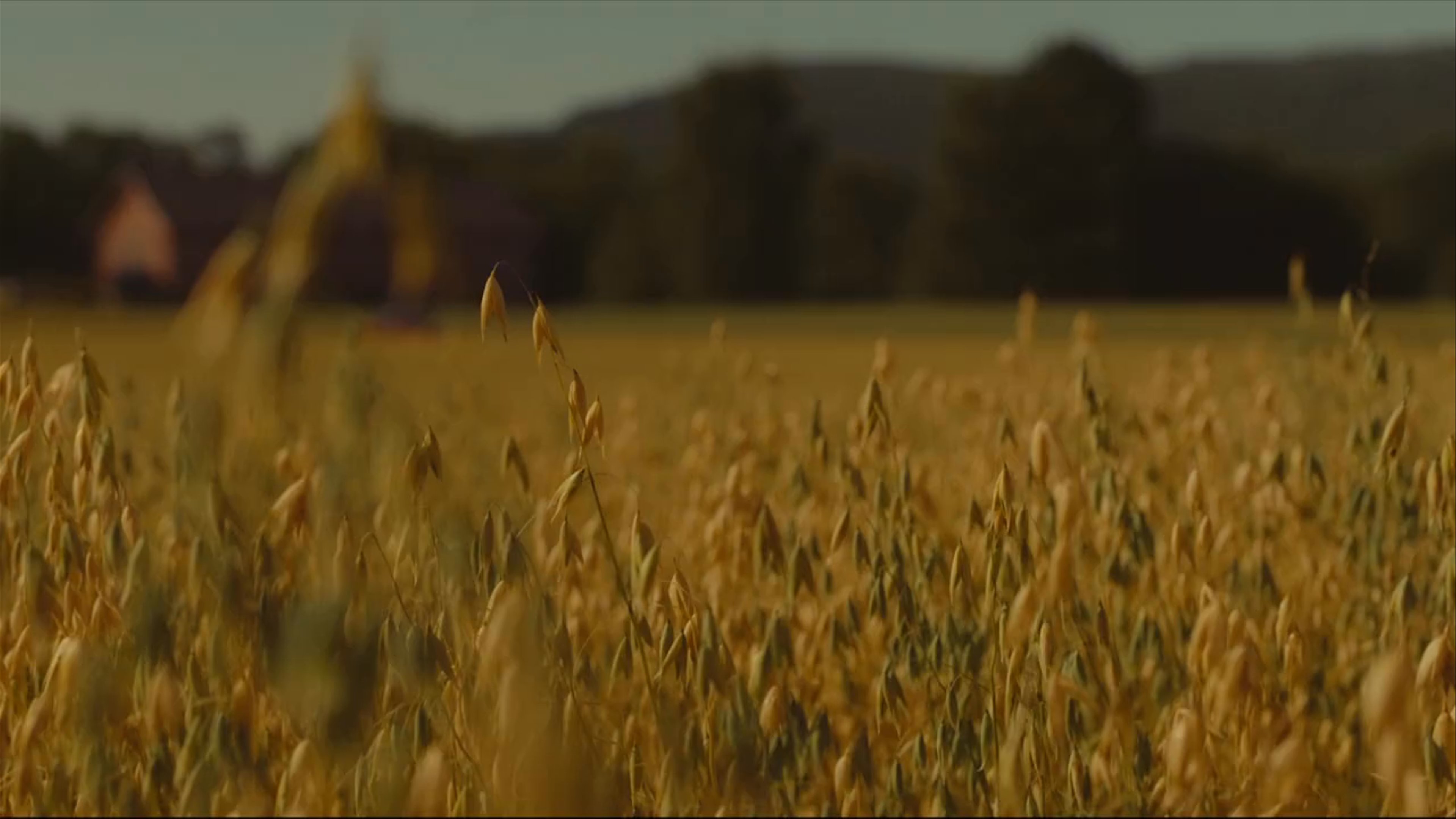 Ultra Arm / Drone: DJI Inspire 2 providing aerial cinematography for Rådebank sesong 2 for NRK, demonstrating High-speed tracking capabilities and cinematic aerial storytelling.