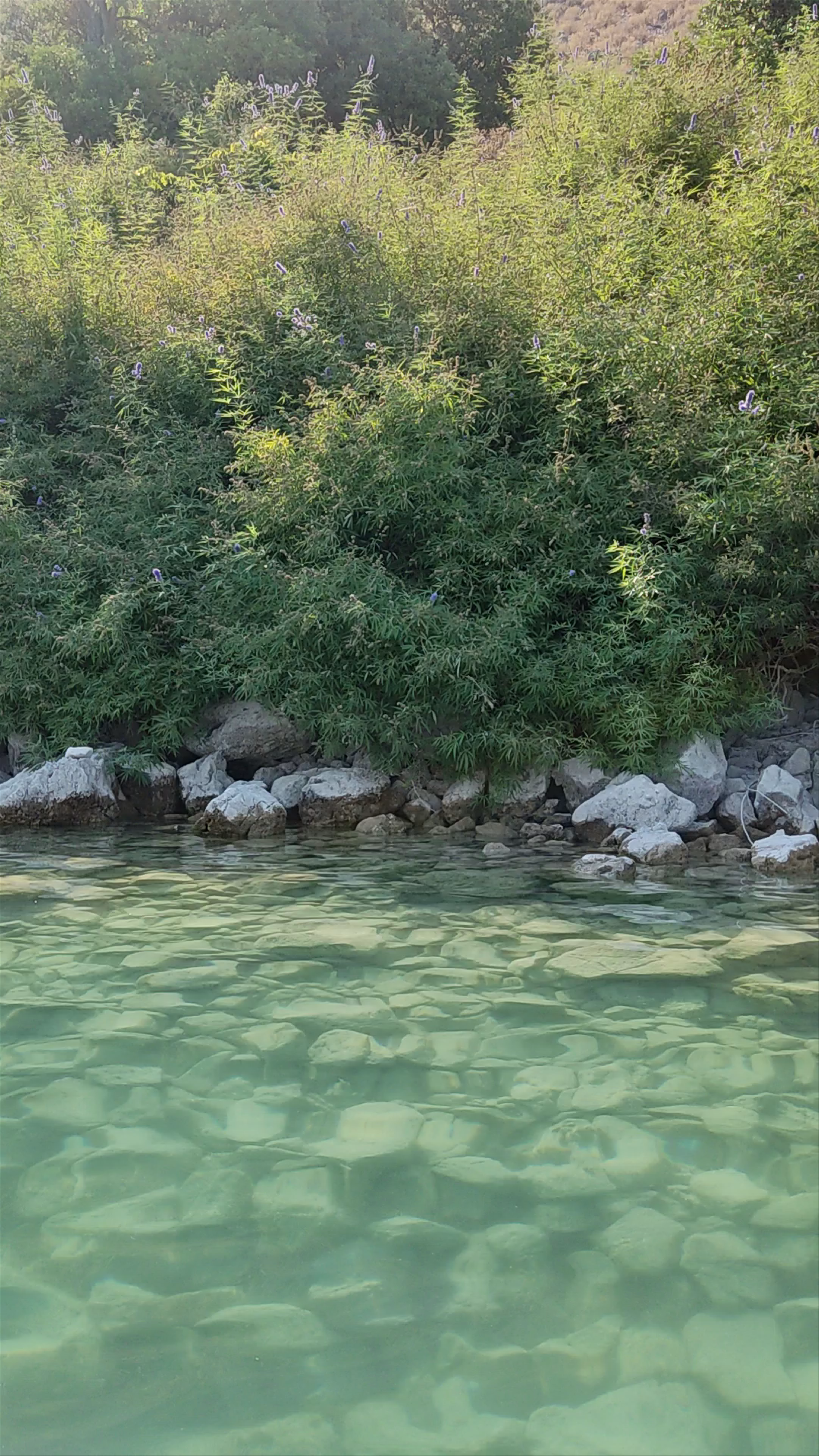 Λίμνη Κερκίνη