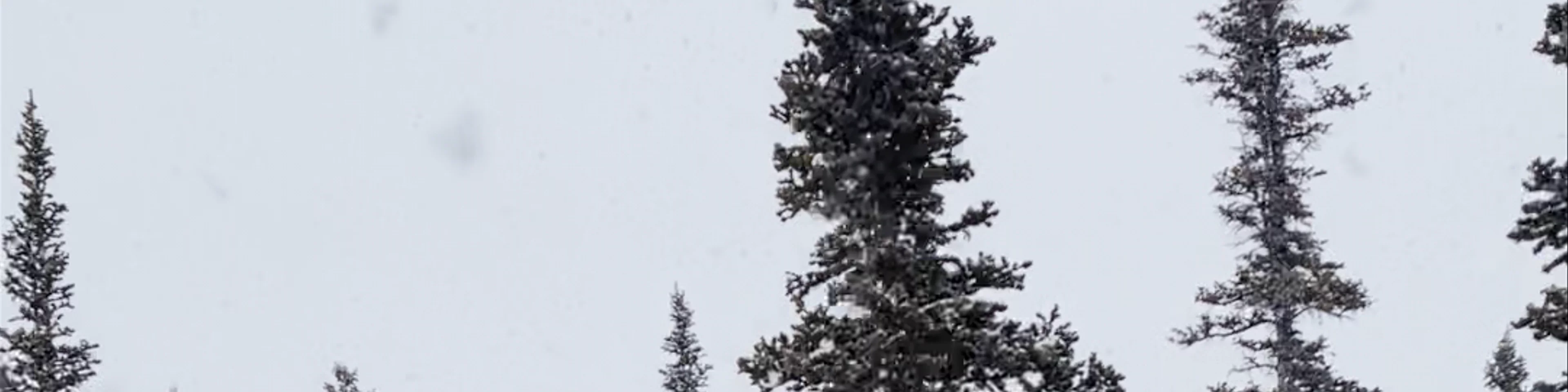Copper Mountain