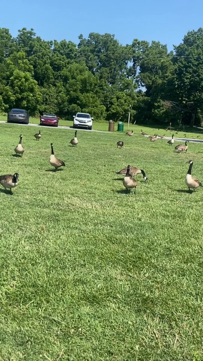 Battery Park - Landmarks & Historical Buildings Near Me - New Castle, Delaware