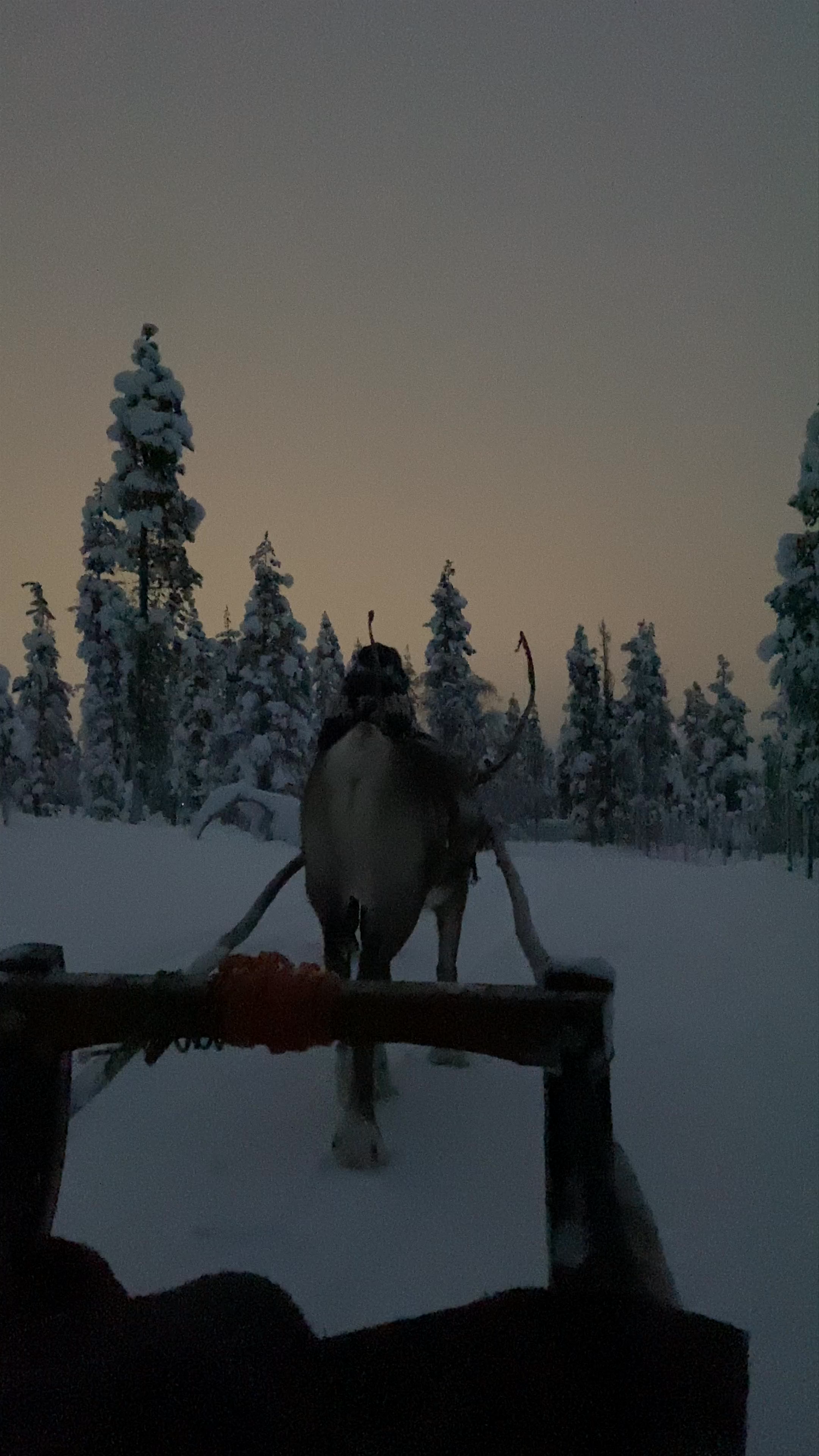 Northern Lights Village Saariselkä