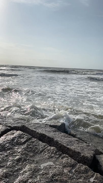 Galveston - Movers Near Me - Galveston, Texas