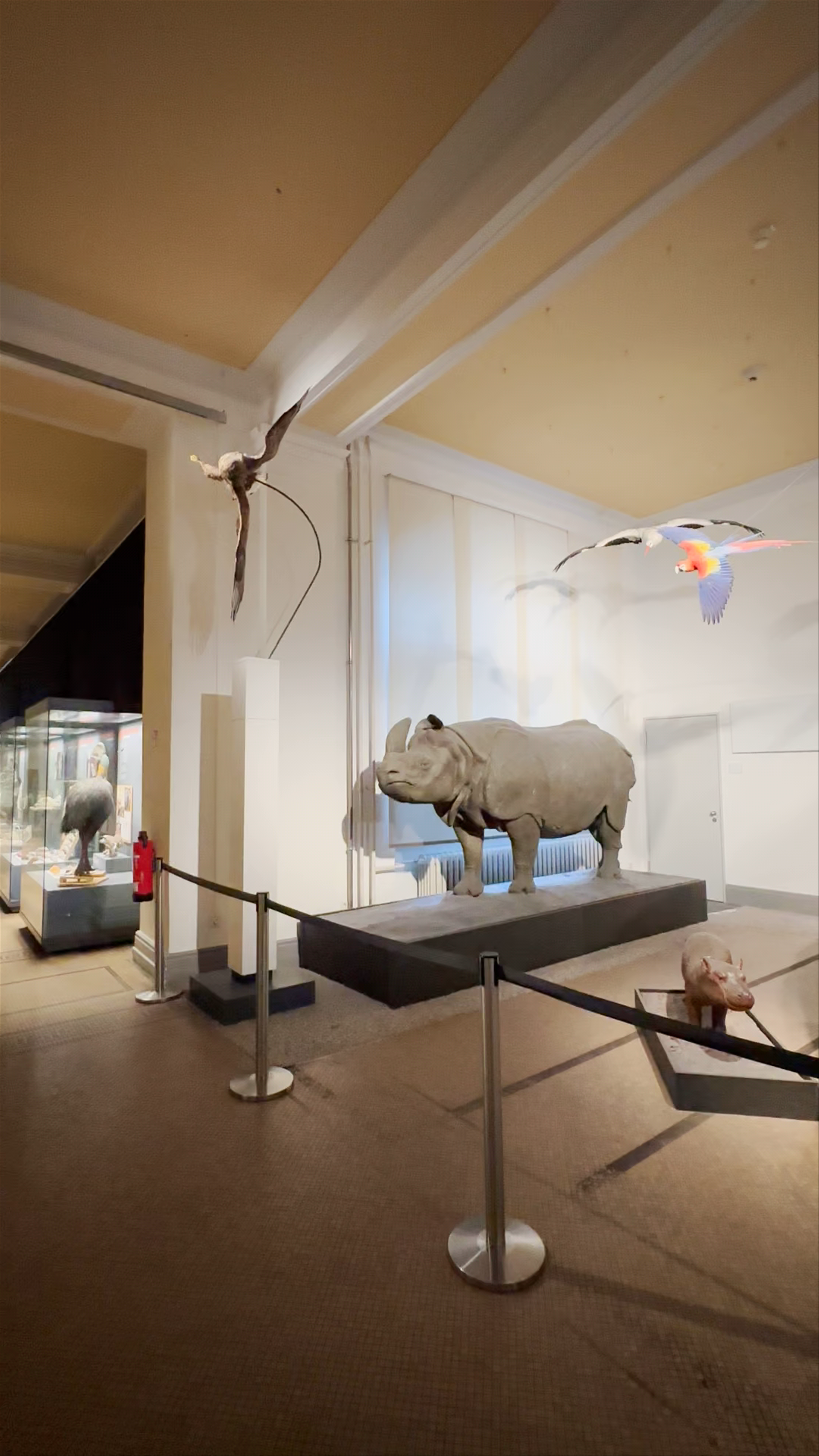Freunde und Förderer des Museums für Naturkunde e.V.