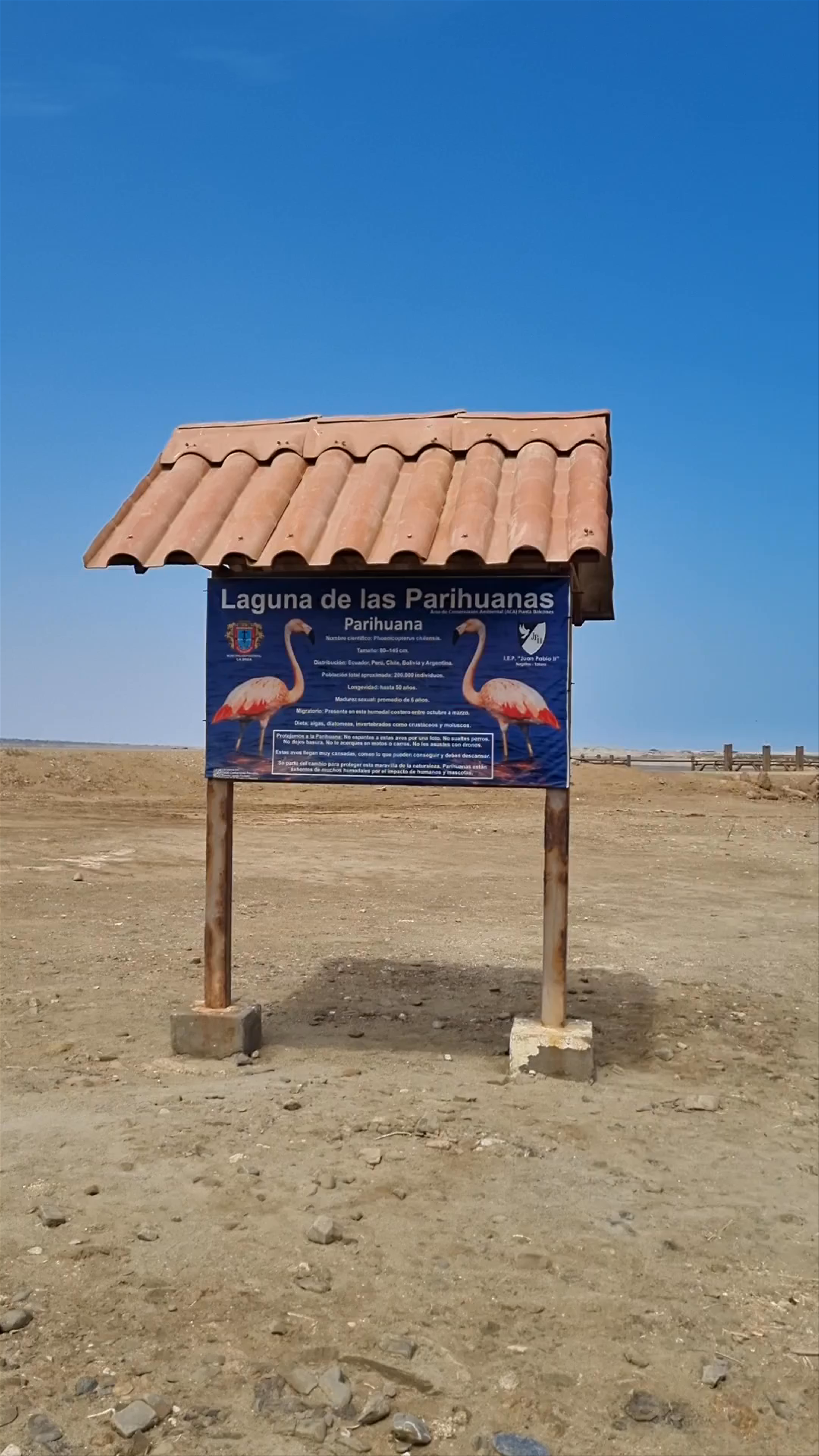 Laguna de las Parihuanas