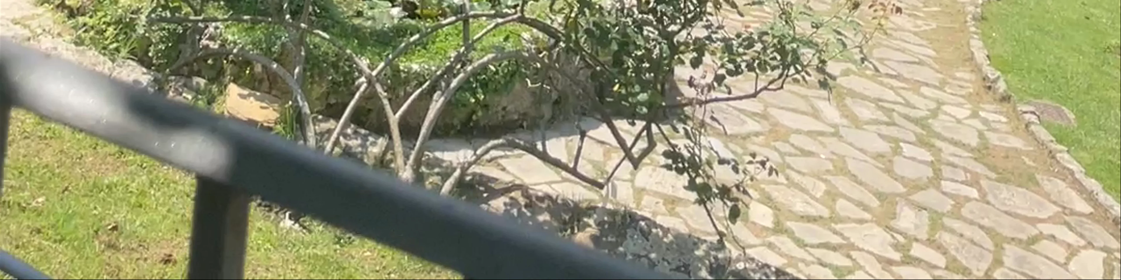 Giardino delle Rose