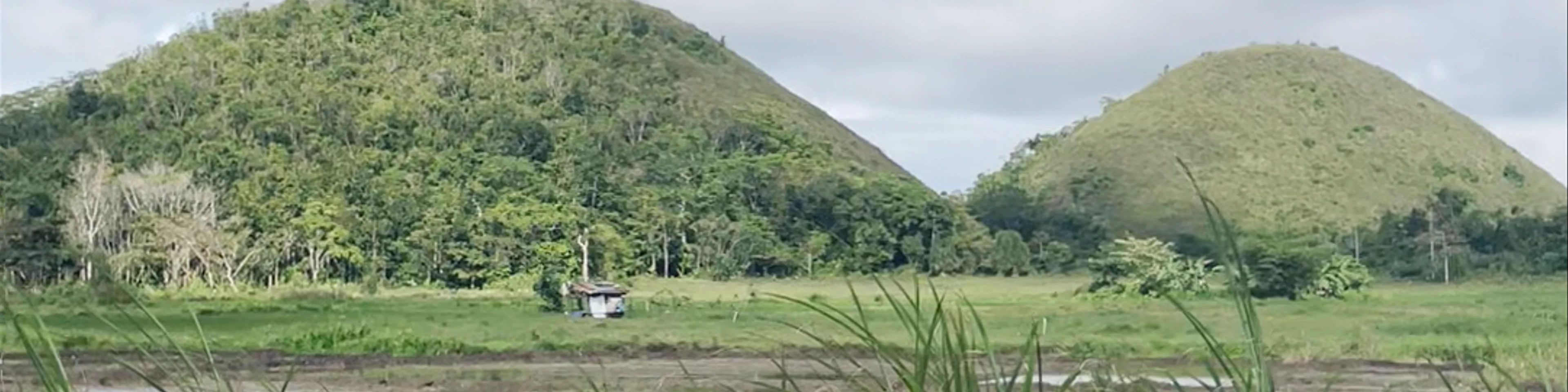 Chocolate Hills Natural Monument