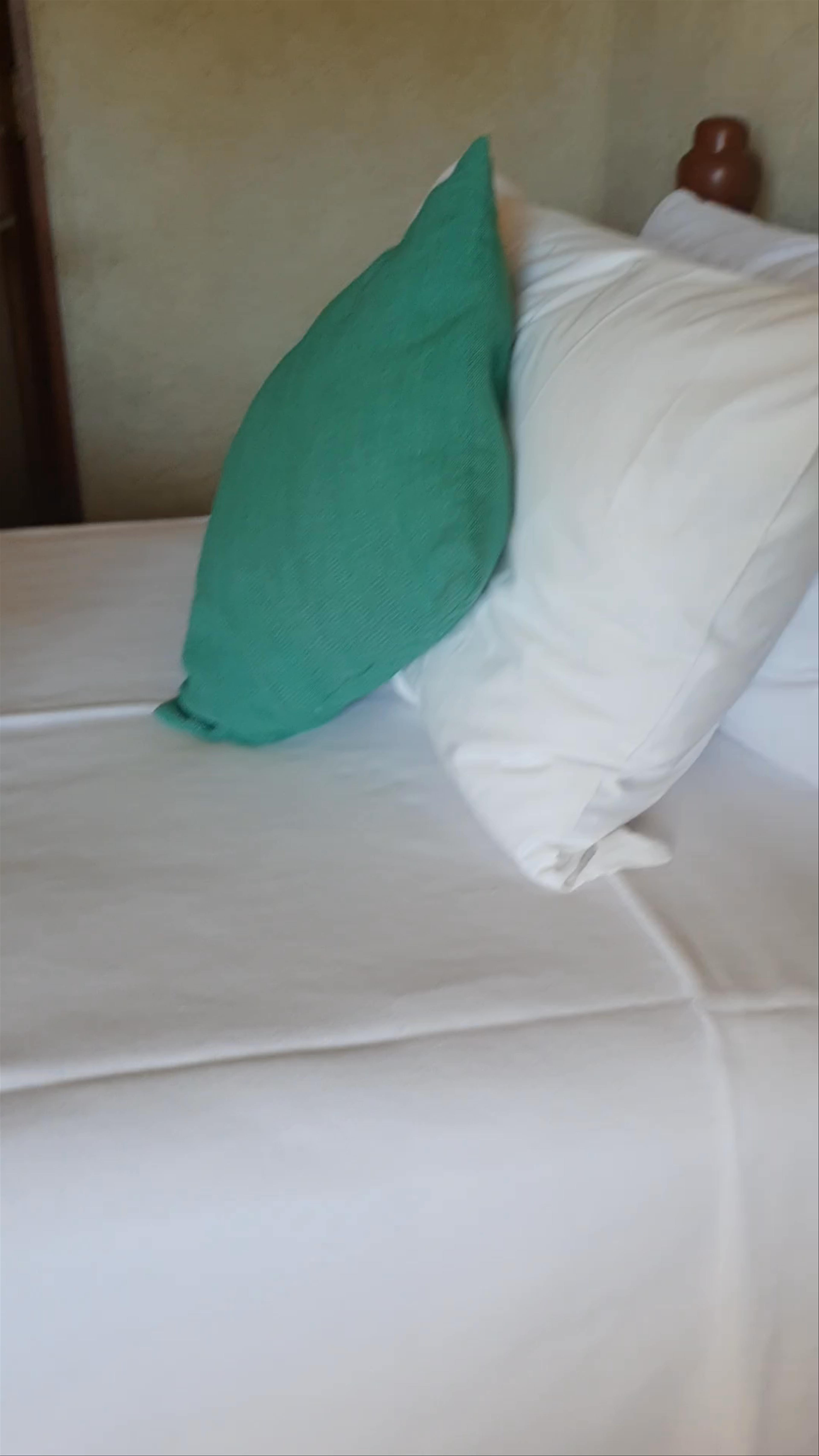 Cozy Stay with Historic Views at Hotel Marqués Del Valle in Oaxaca Centro