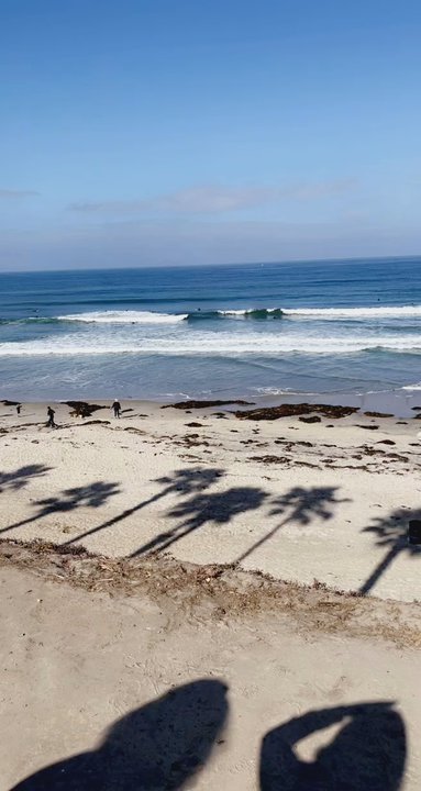 Pacific Terrace Hotel - Views from the hotel - San Diego, CA