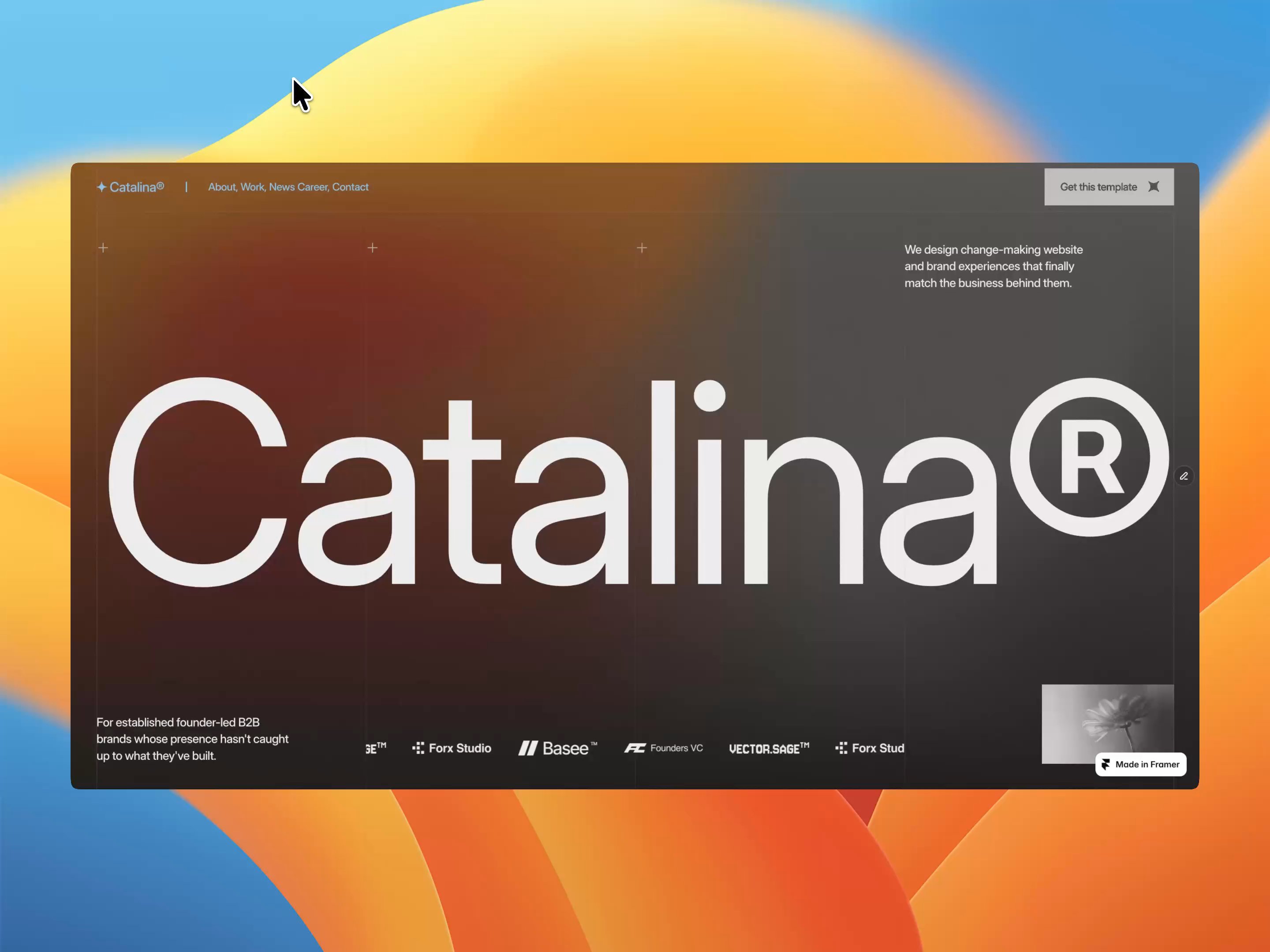 Catalina®