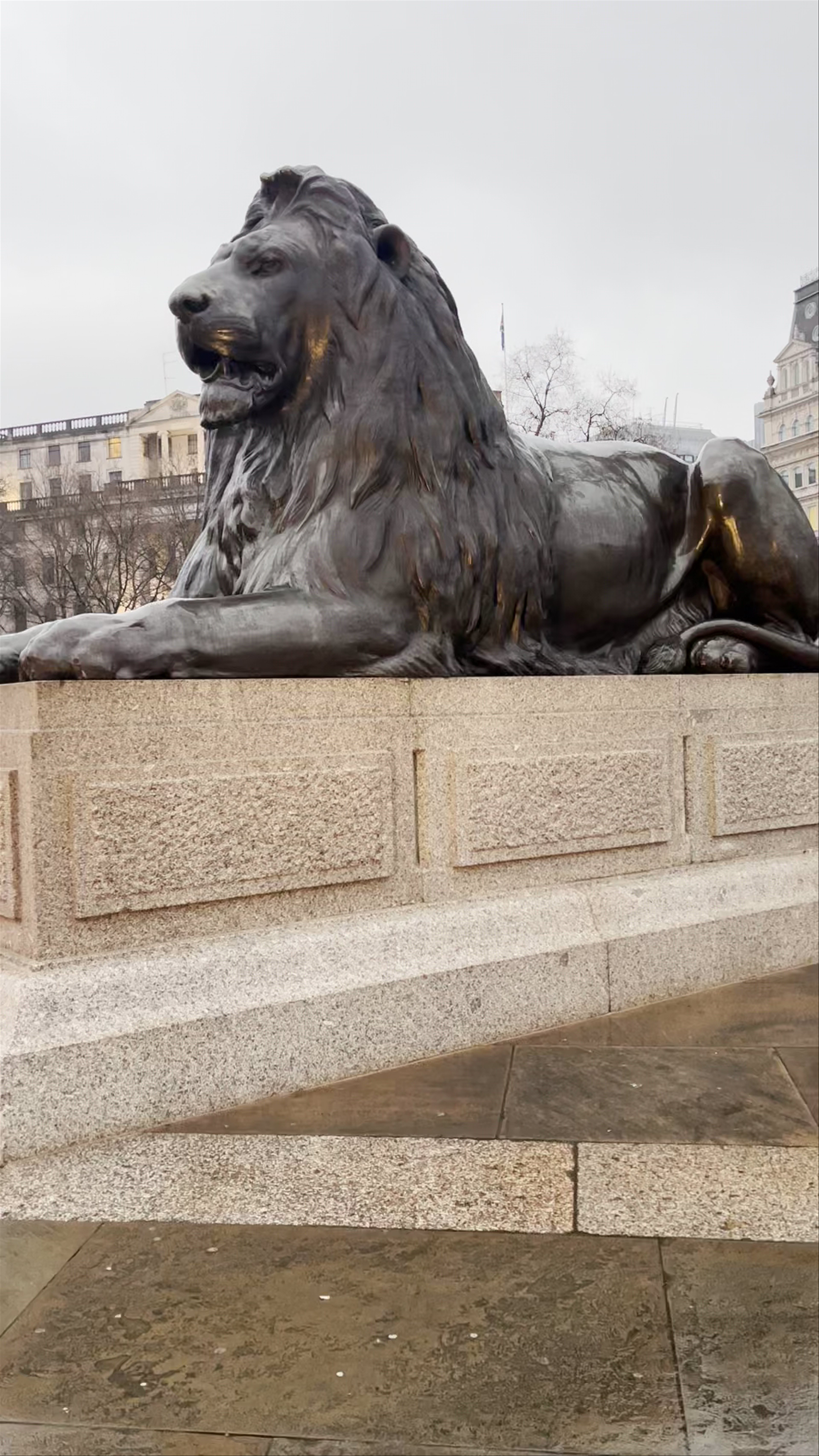 Nelson's Column