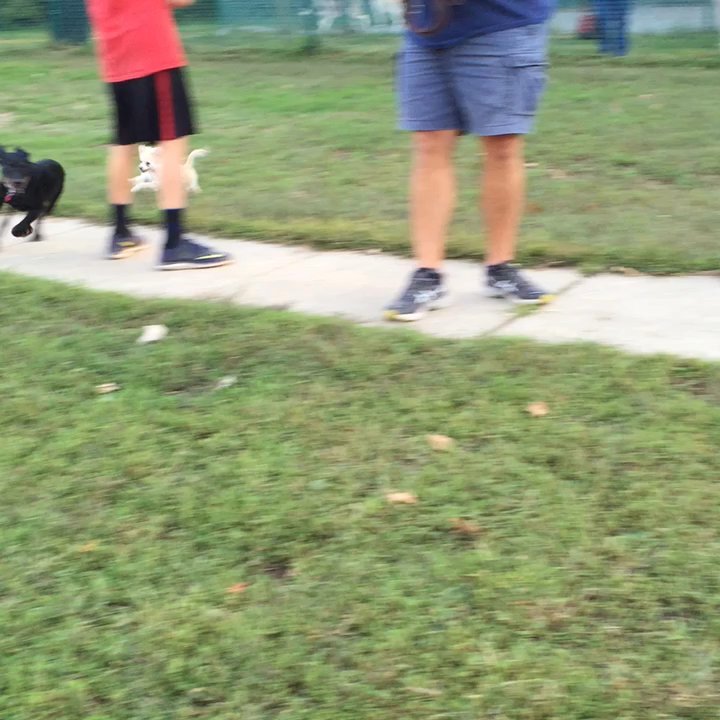 Pooch Park - Dog Parks Near Me - Cherry Hill, New Jersey