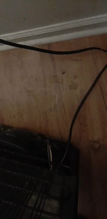 Shamrock Motel - Roaches and bedbugs and workers are disrespectful - Hotels Near Me - Dover, Delaware