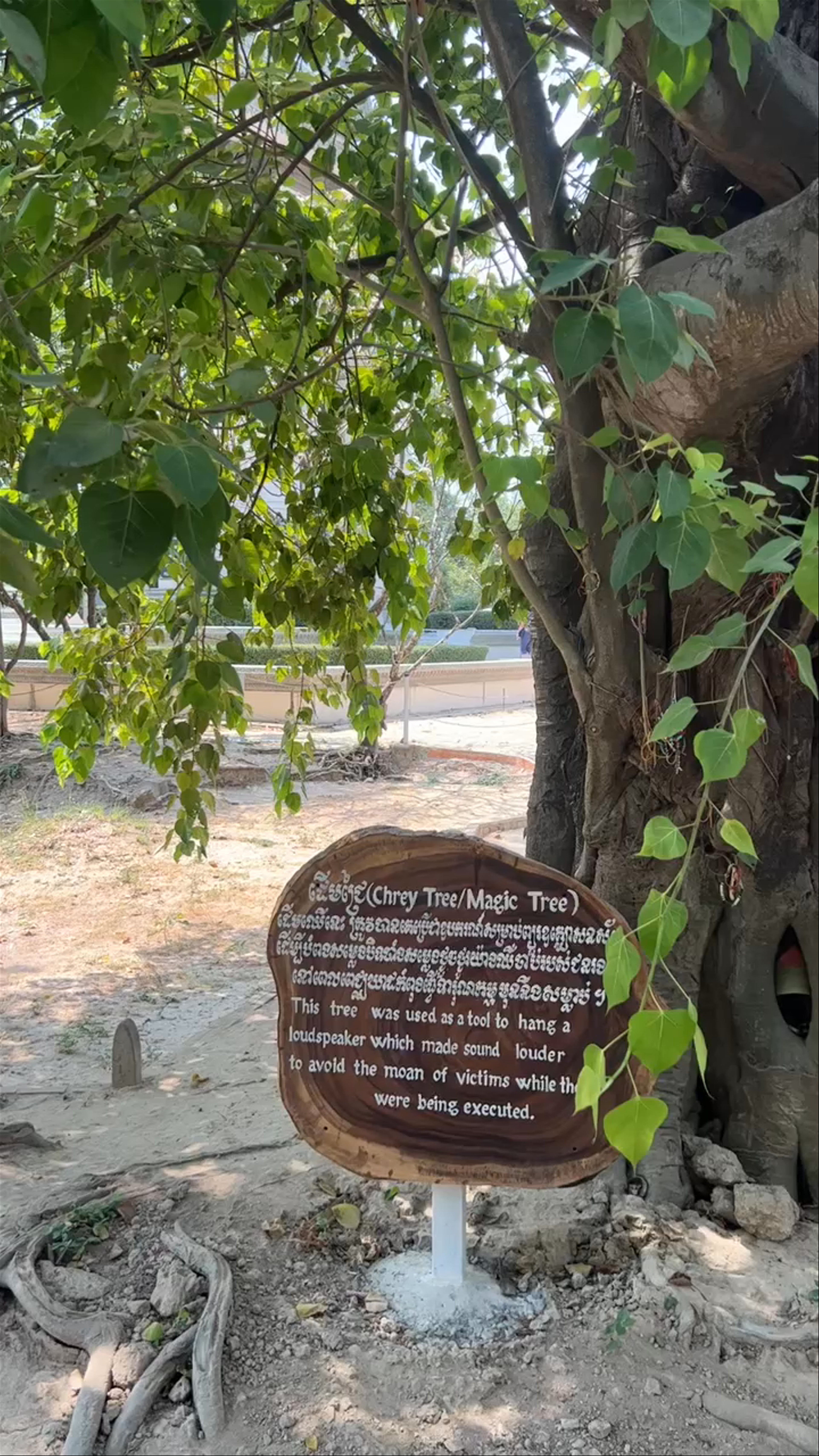 Killing Fields