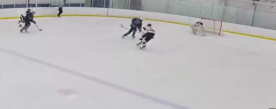 Turner Goesling: Electrifying Highlights from Nest Hockey Academy 15U AAA