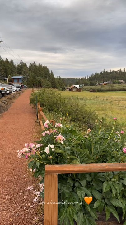 Molly Butler’s - View from the lodge! - Steakhouses Near Me - Greer, Arizona