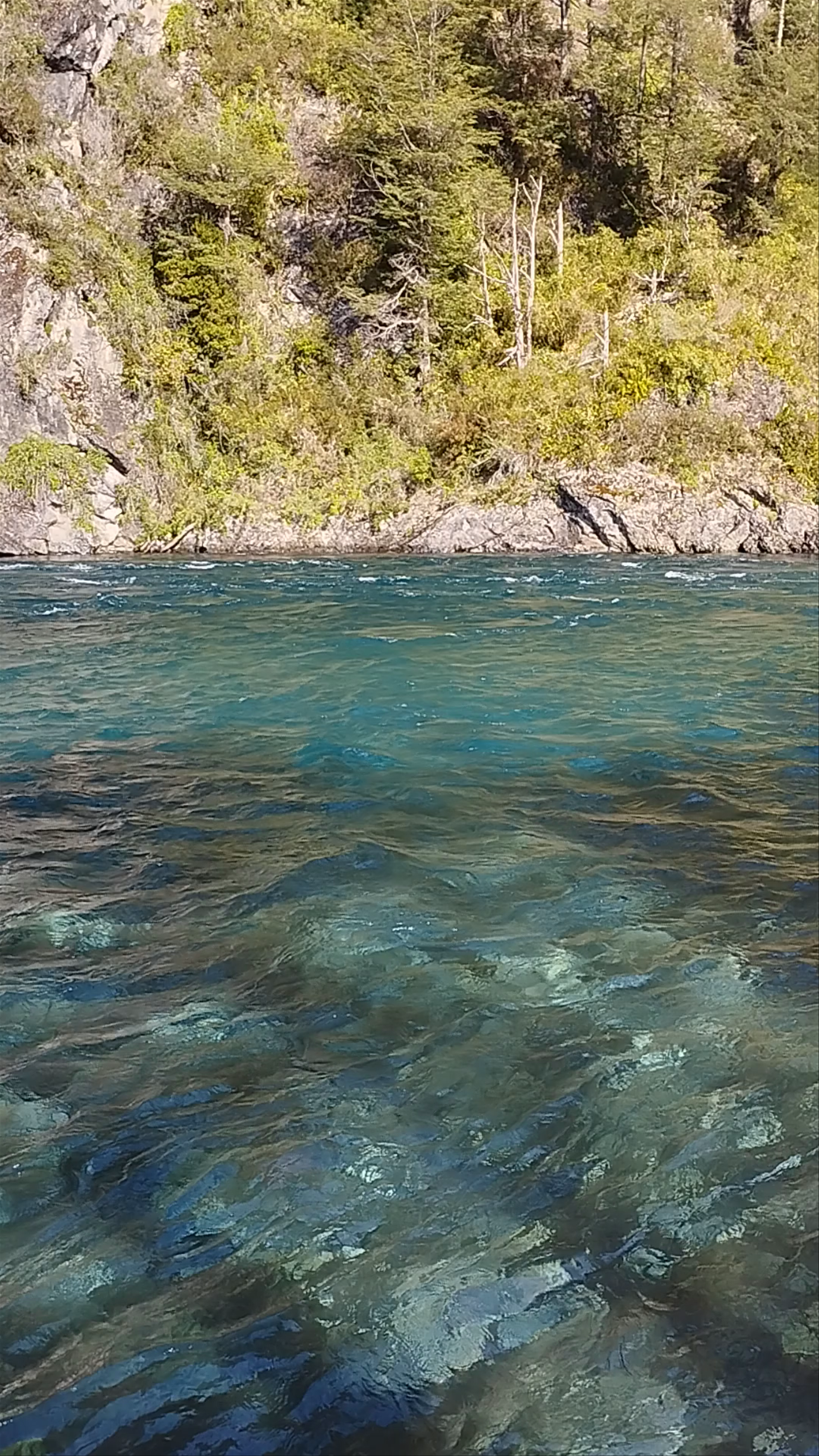Zona de Arrayanes at Petrohue: Crystal-Clear Waters and Majestic Cliffs