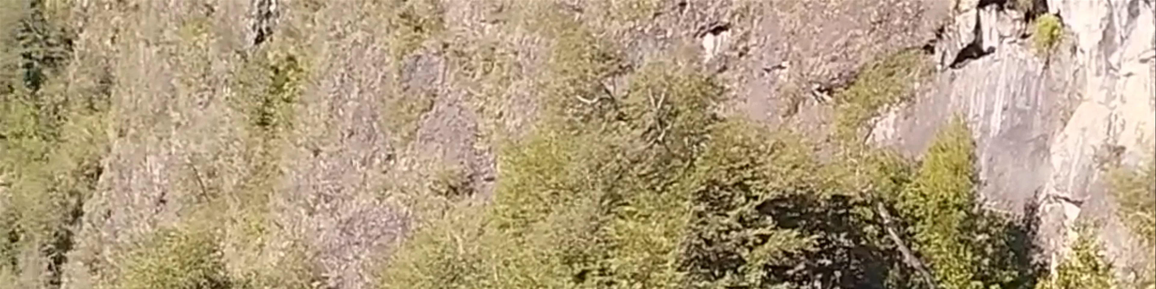 Zona de Arrayanes