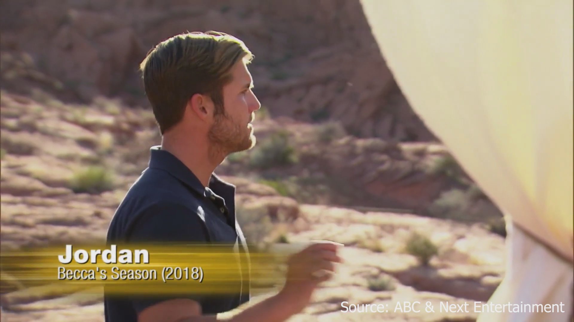 Various contestants from the Bachelor franchise participate in individual interviews and social interactions in diverse settings, ranging from resort environments to studio backdrops.