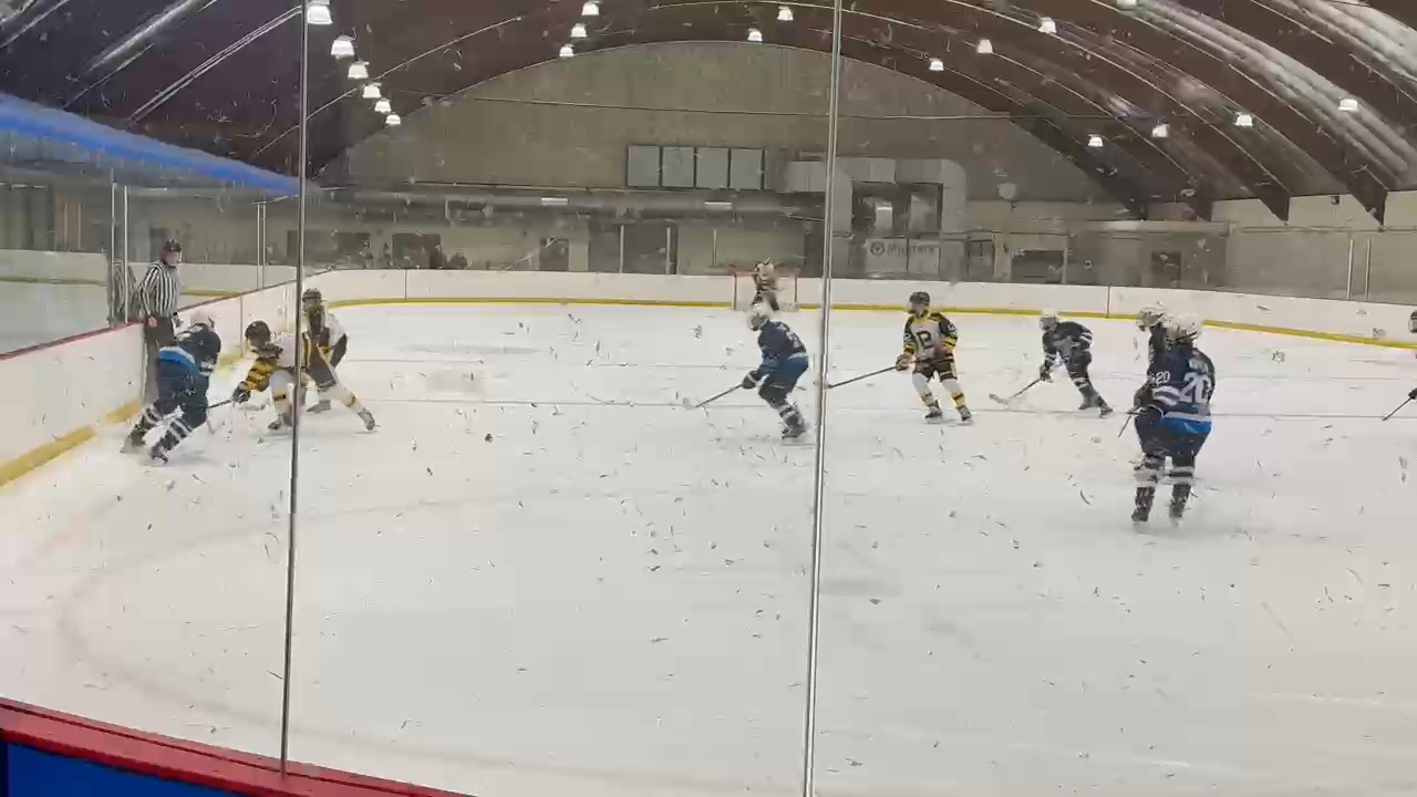 Thomas Gritsch's Game-Changing Assist & Defensive Mastery