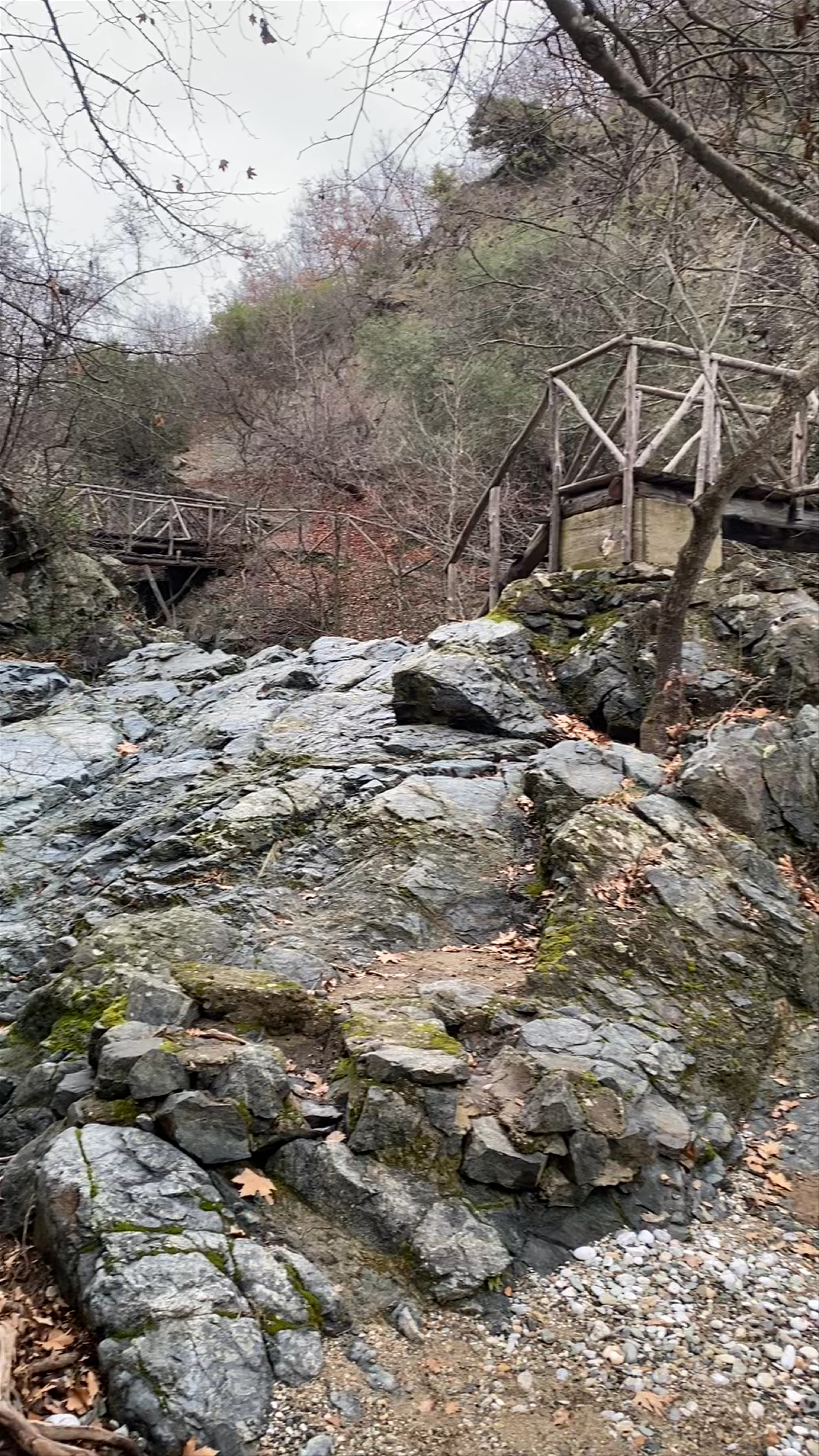 Ξύλινη γέφυρα