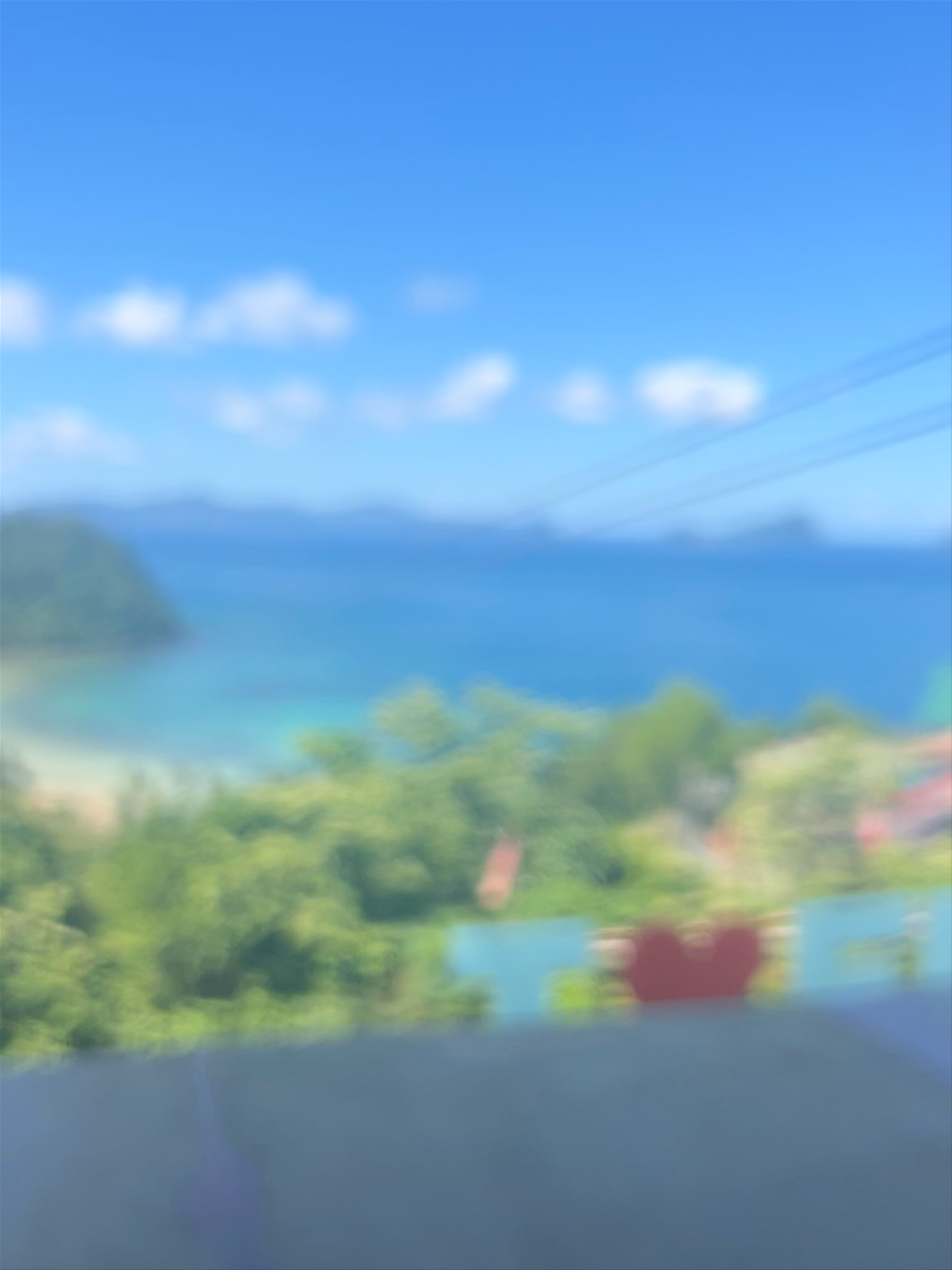 Palawan Zipline Adventure Inc.