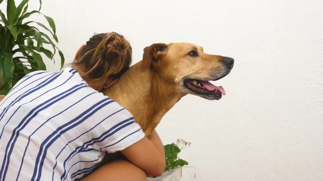 Woman hugging a dog 