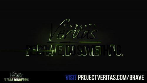 Video Thumbnail Loop