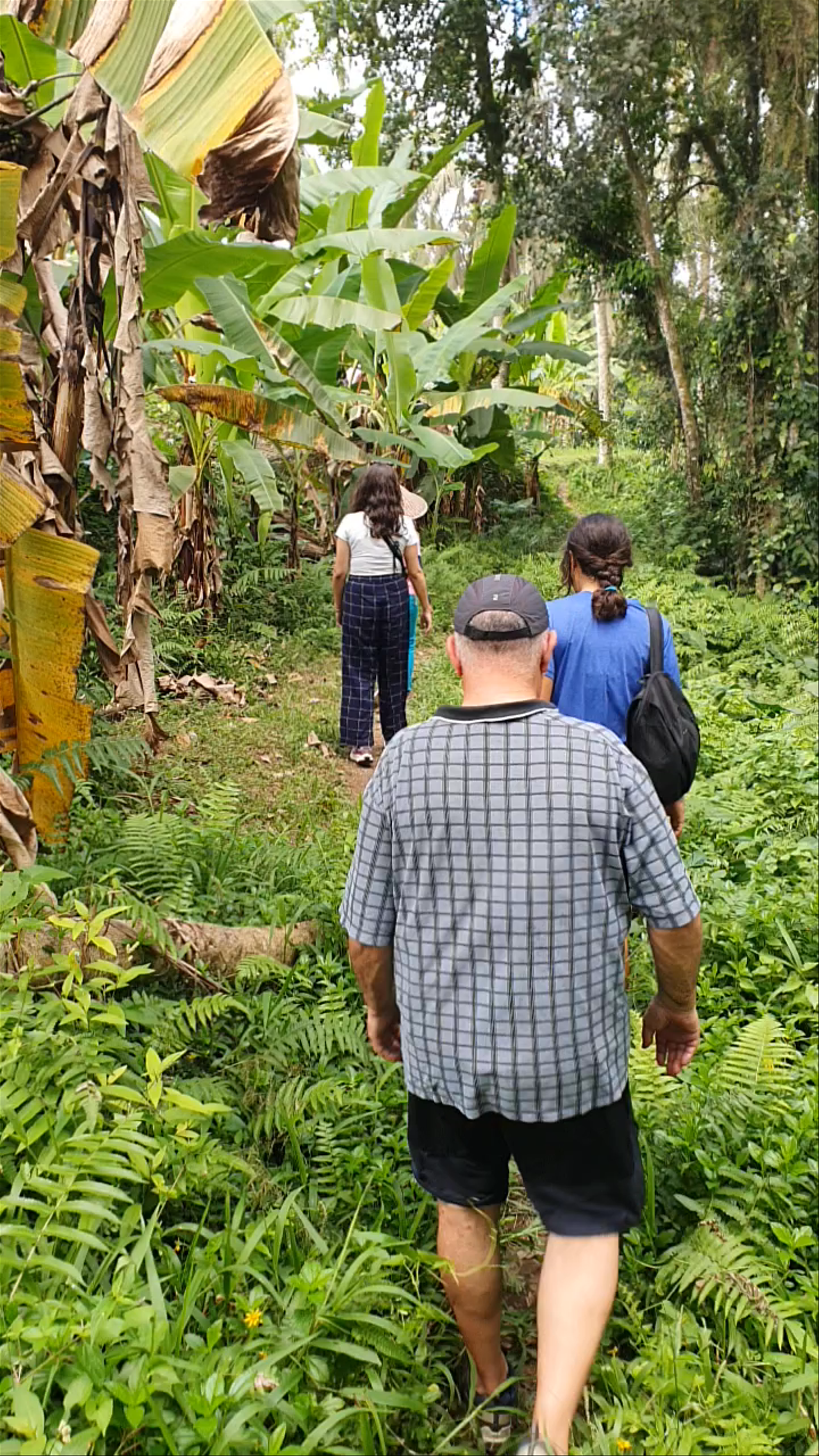 Nature Walk Through Lush Tropical Trails in Keliki, Bali