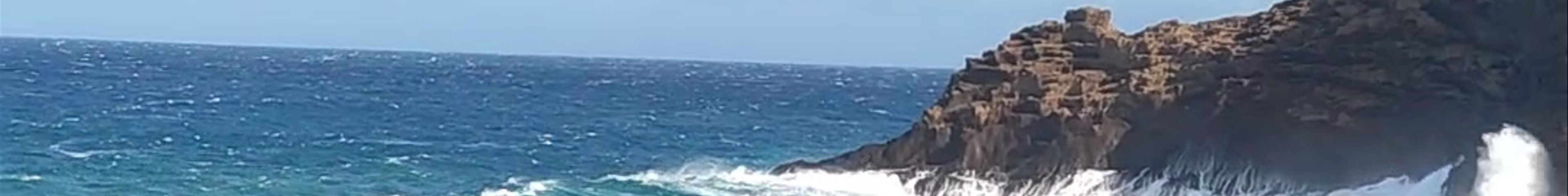 Tours & experiences in Porto Moniz