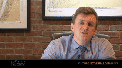 Video Thumbnail Loop