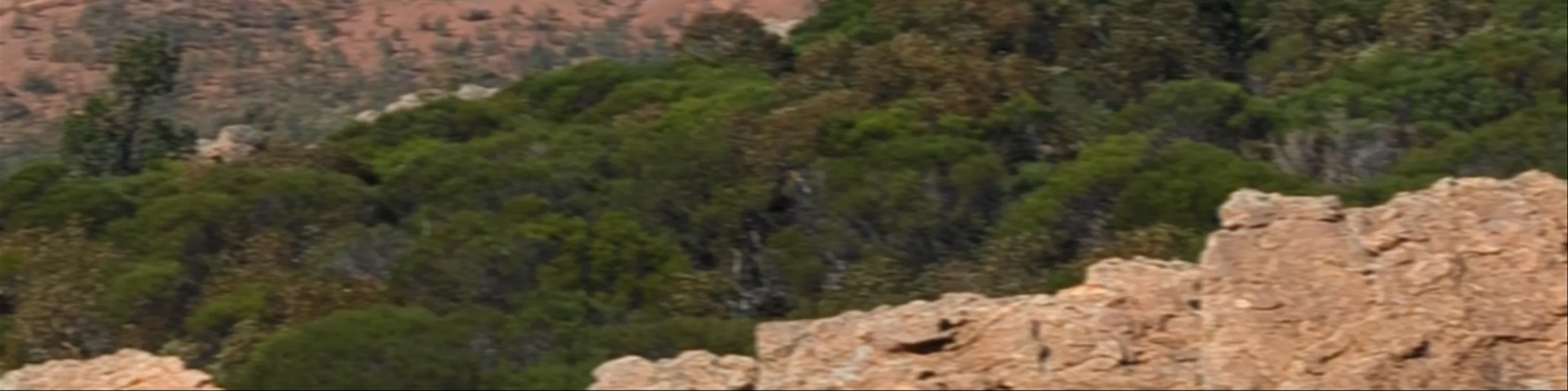 Rawnsley Bluff Lookout