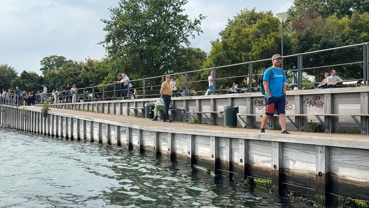 Stromma Denmark - Boat Tours Near Me - Copenhagen, 84