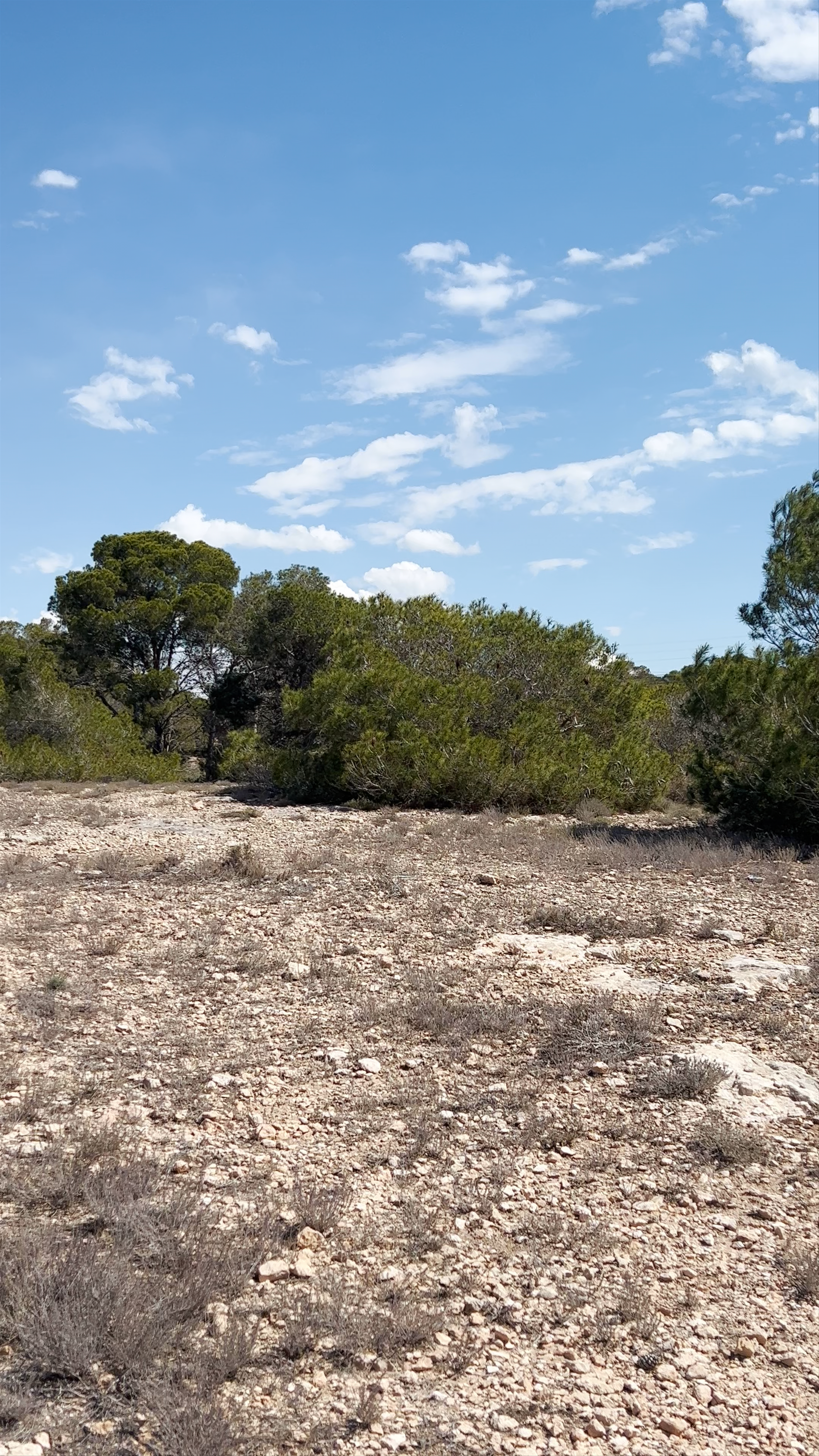 Molino La Calera
