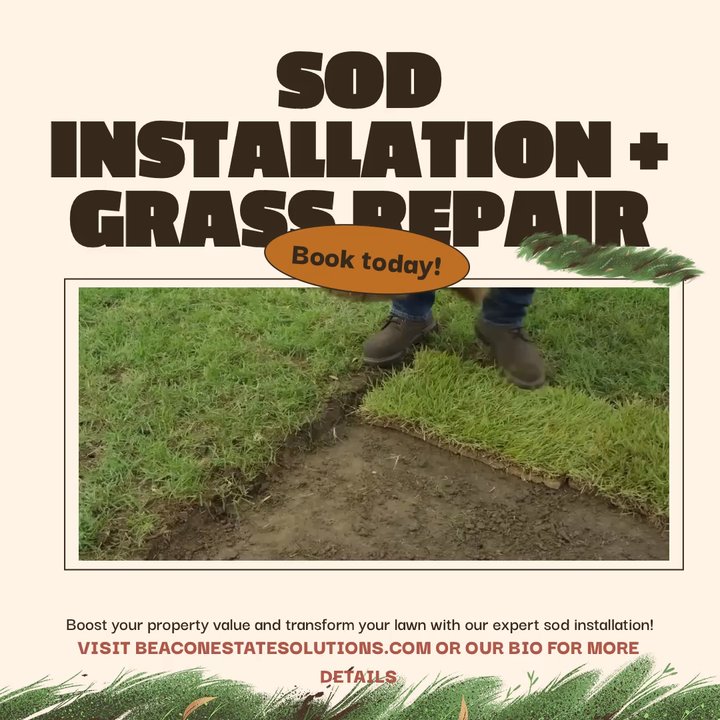Beacon Estate Solutions - Landscaping Near Me