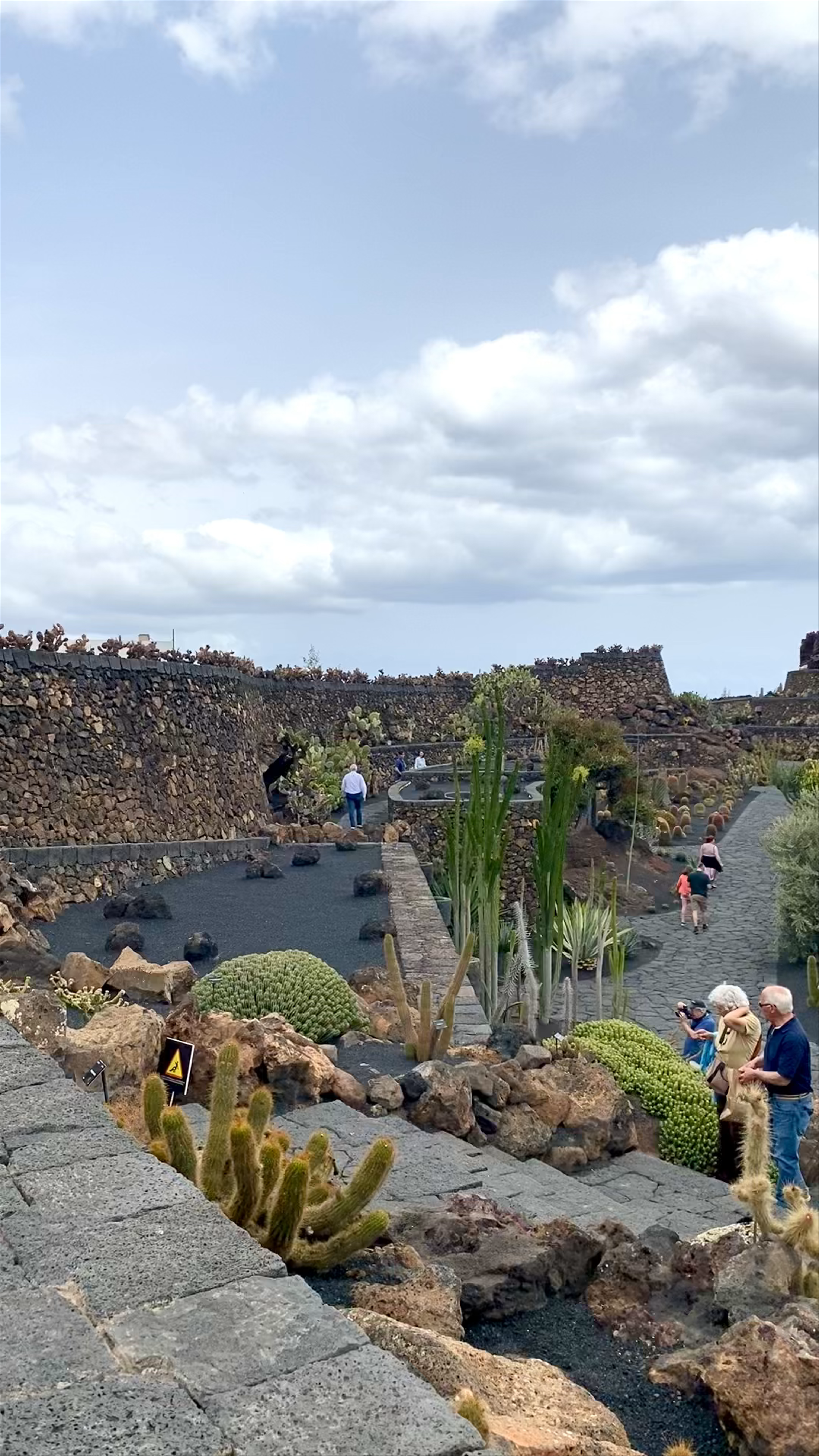 Jardín de Cactus: A Surreal Oasis of Lanzarote's Volcanic Beauty